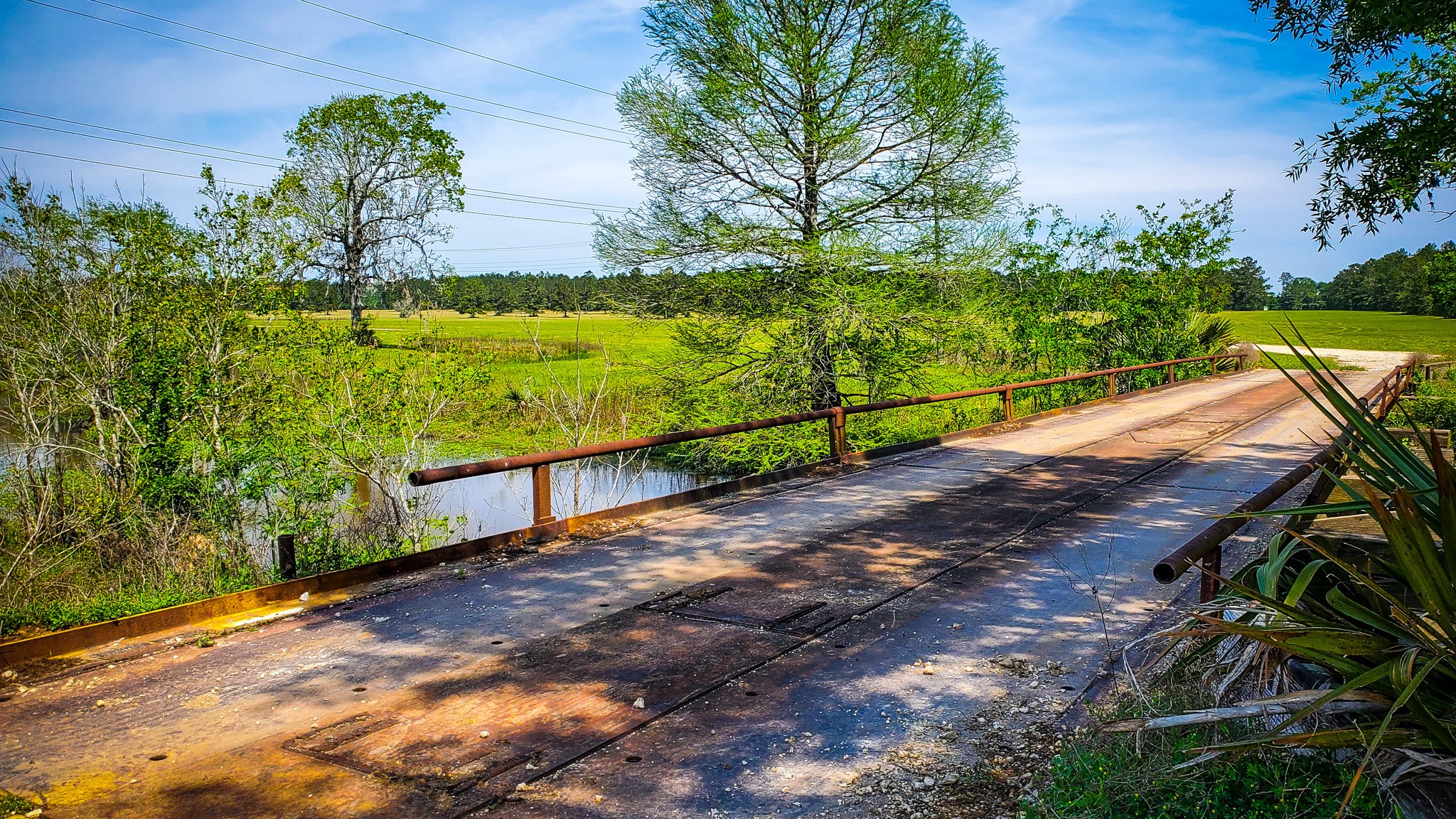 40902 Highway 105 Batson, TX 77519 - Photo 17 of 50 a view of a garden with an outdoor space
