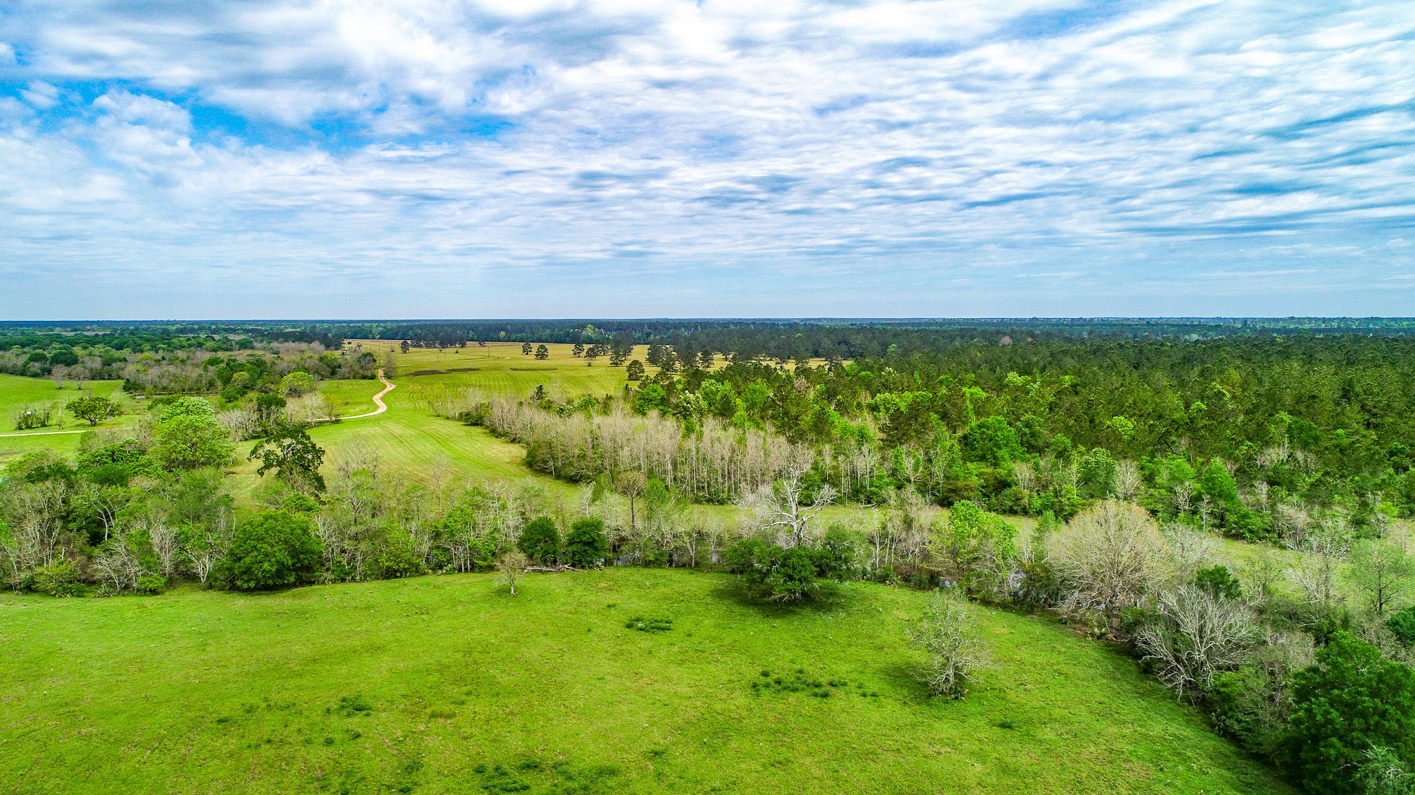 40902 Highway 105 Batson, TX 77519 - Photo 2 of 50 a view of a yard with an outdoor space