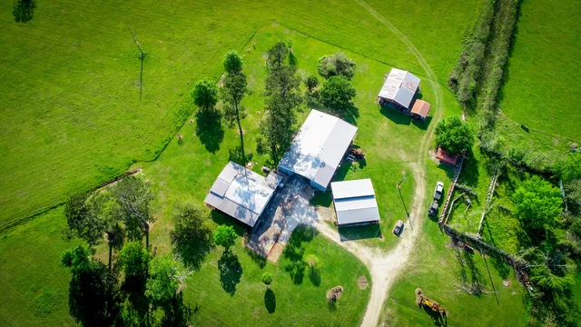 a view of swimming pool with lawn chairs and plants