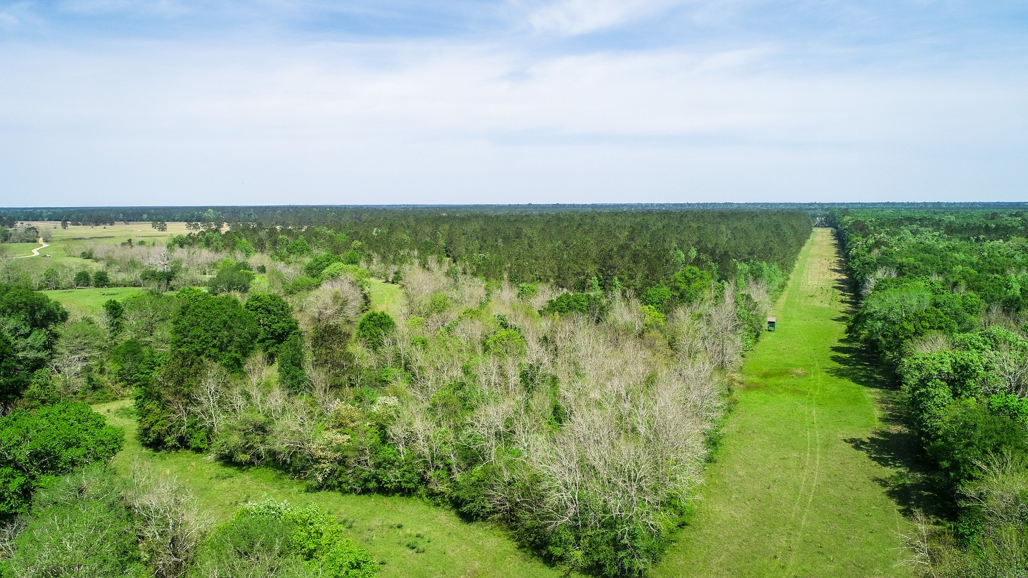 40902 Highway 105 Batson, TX 77519 - Photo 3 of 50 a view of a field with an ocean