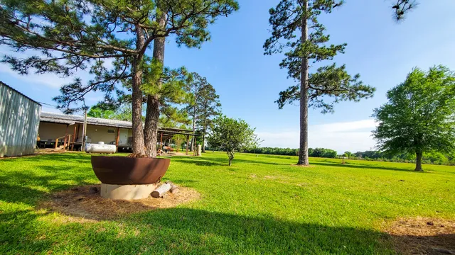 a view of a park with tree s