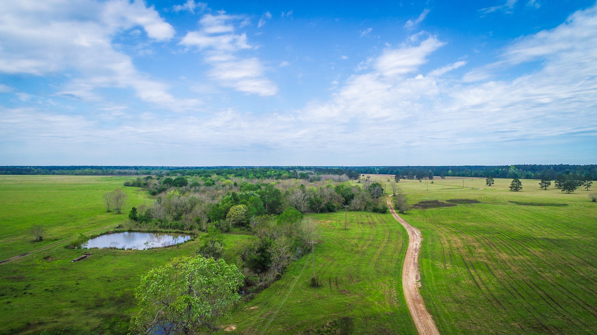 40902 Highway 105 Batson, TX 77519 - Photo 4 of 50 a view of a grassy field