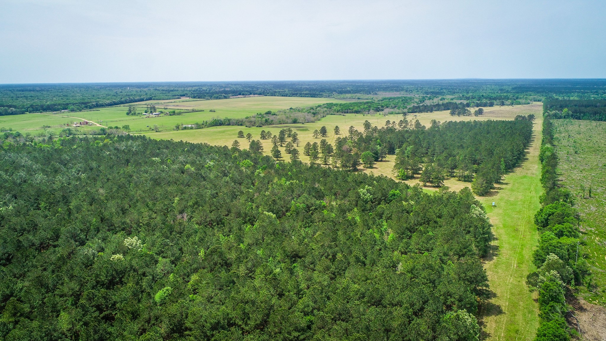 40902 Highway 105 Batson, TX 77519 - Photo 44 of 50