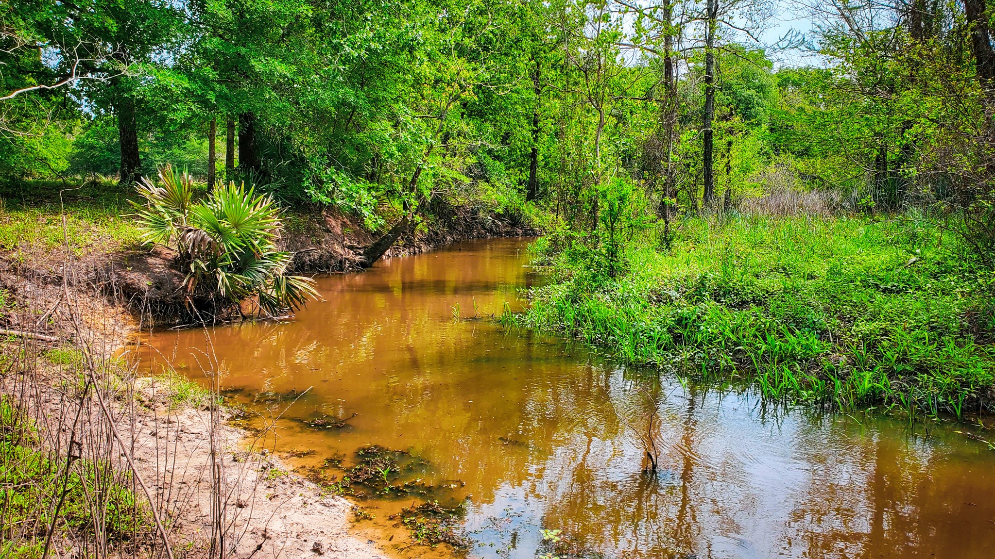 40902 Highway 105 Batson, TX 77519 - Photo 49 of 50 a view of lake