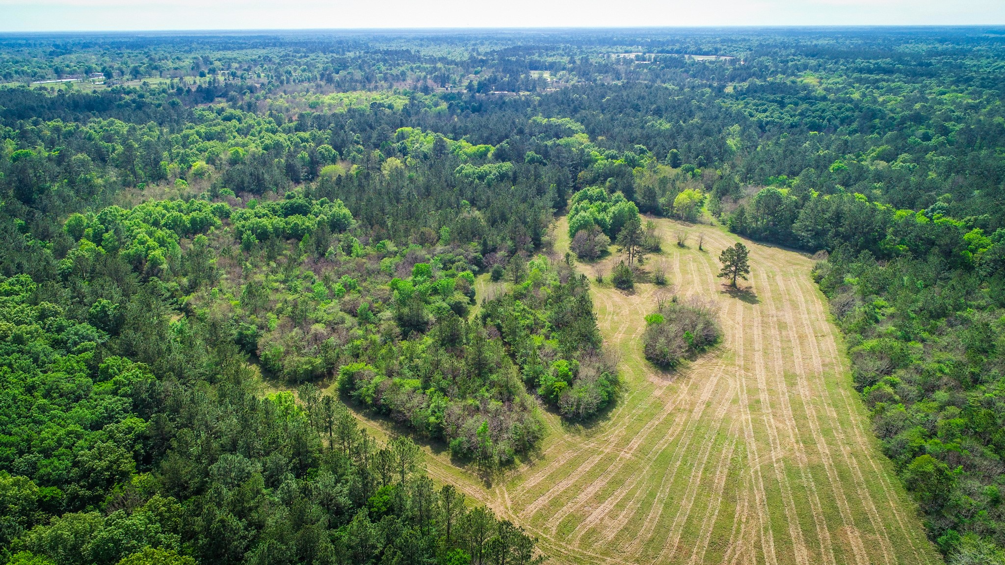 40902 Highway 105 Batson, TX 77519 - Photo 50 of 50 an aerial view of residential houses with outdoor space and trees