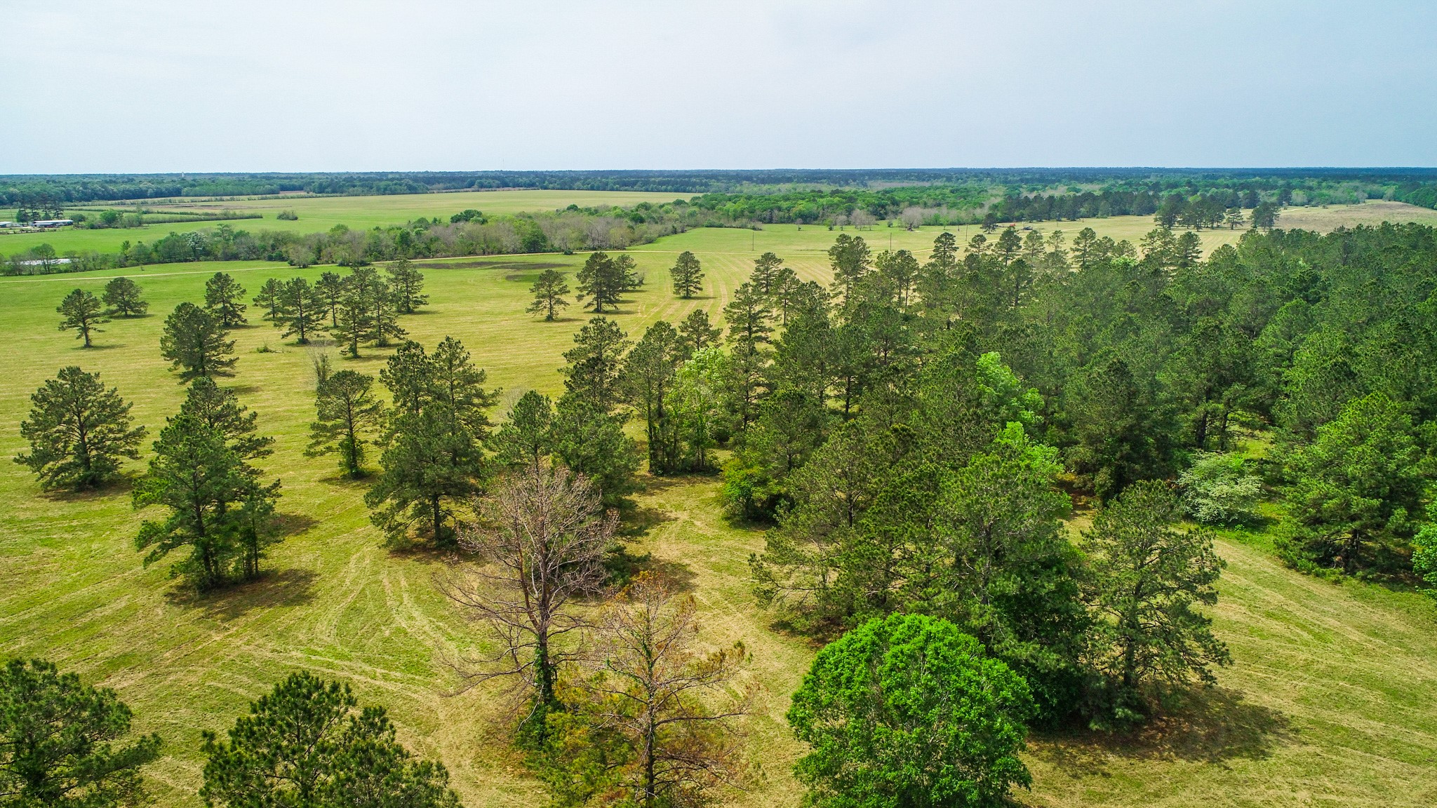 40902 Highway 105 Batson, TX 77519 - Photo 5 of 50 a view of a lake with a yard
