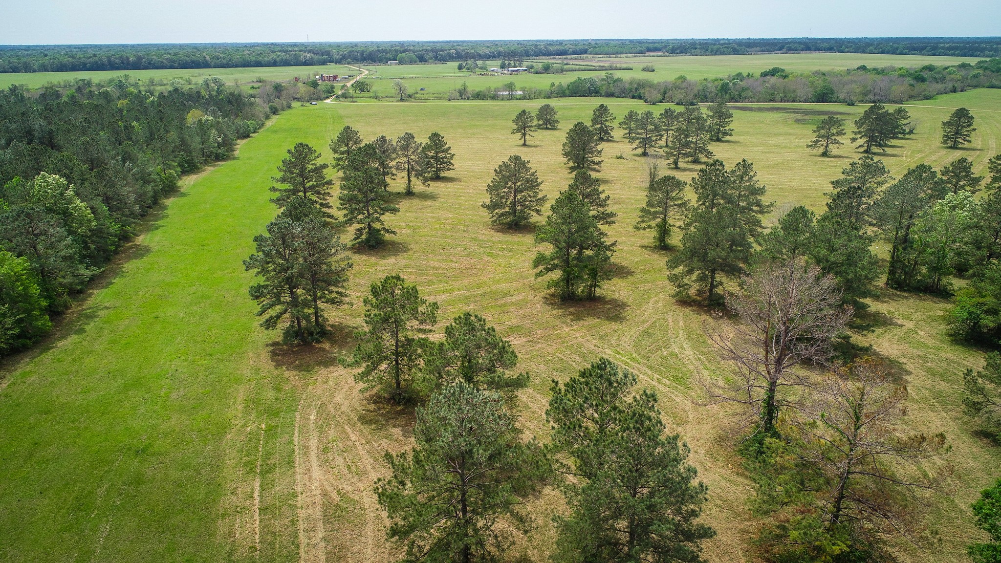 40902 Highway 105 Batson, TX 77519 - Photo 6 of 50 a view of lake with green space