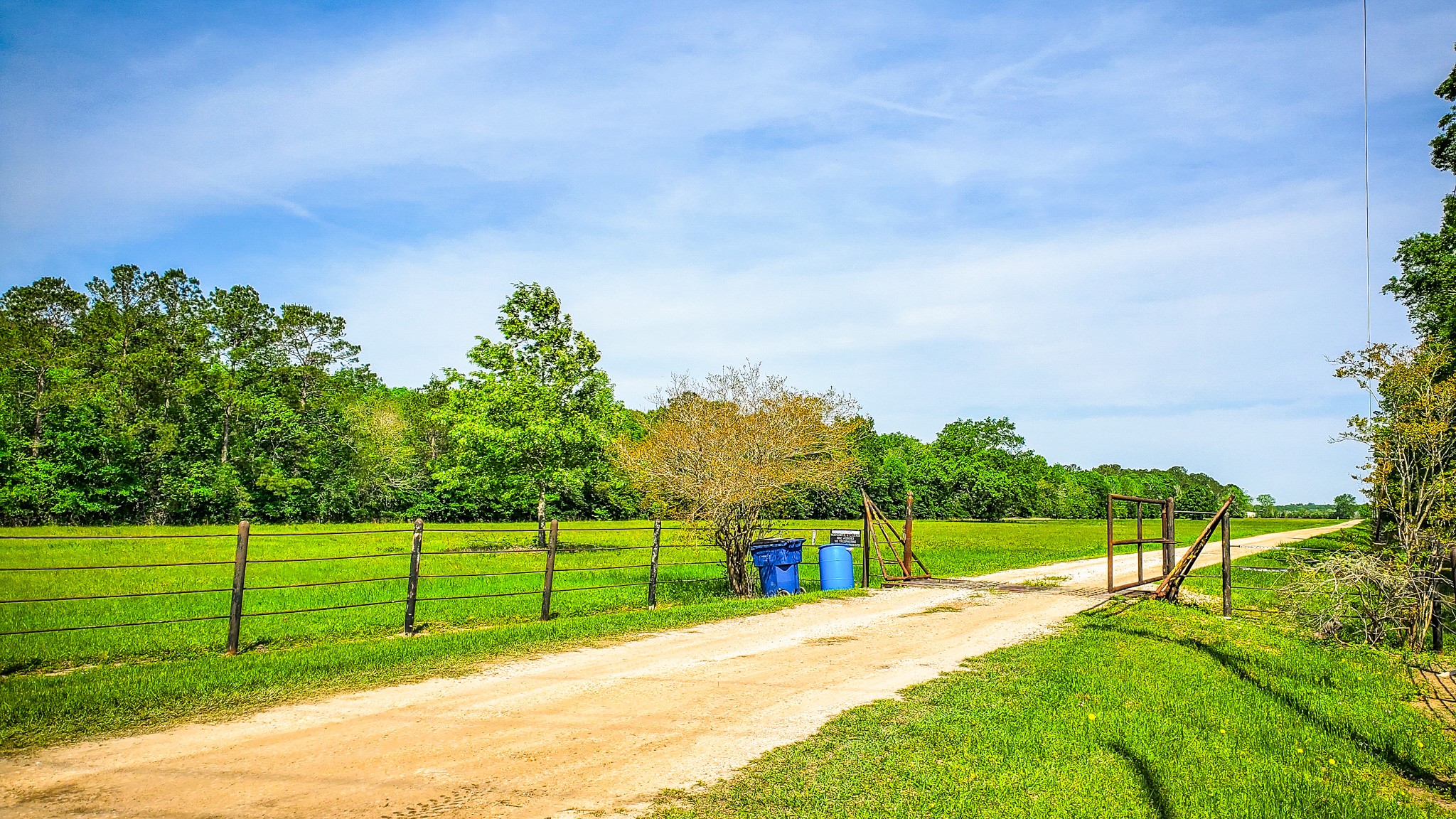 40902 Highway 105 Batson, TX 77519 - Photo 7 of 50 a view of a park with large trees