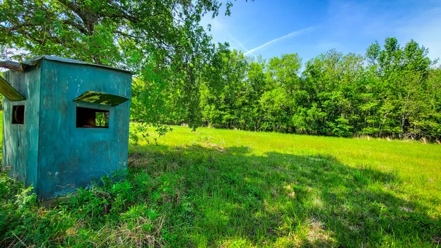 a view of a back yard