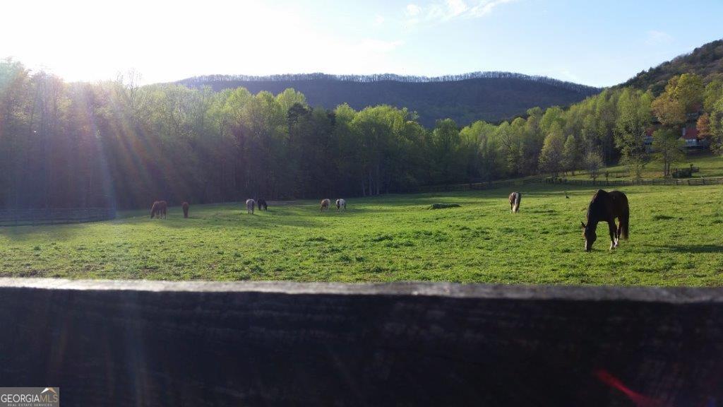 98 Canyon Pass Cleveland, GA 30528 - Photo 32 of 33 a view of a back yard