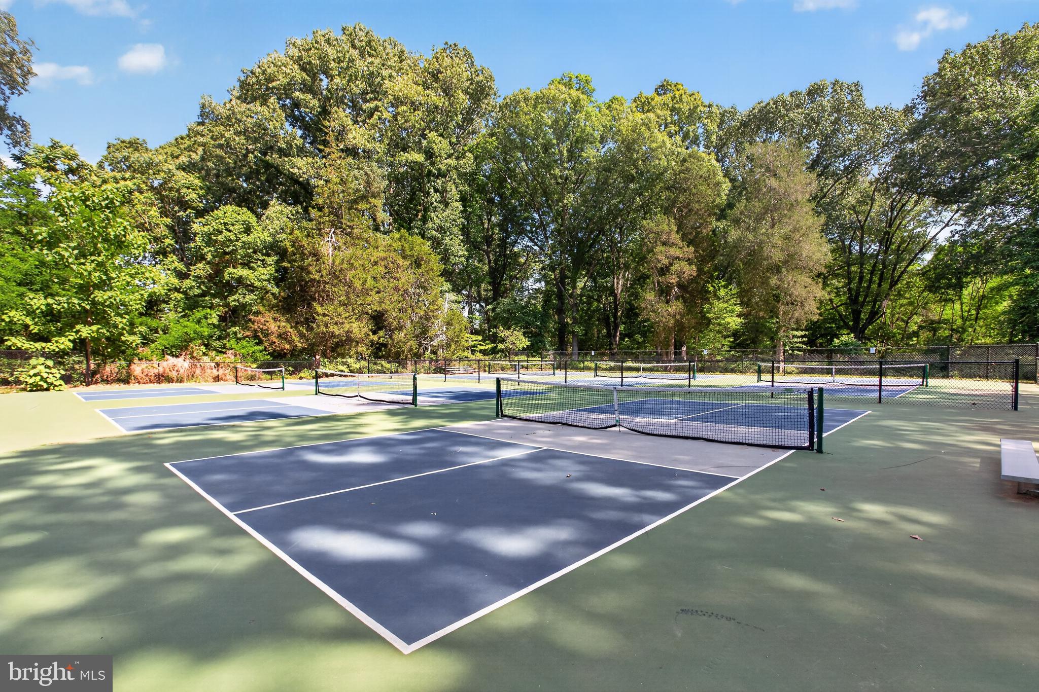 14575 Honeysuckle Way Issue, MD 20645 - Photo 48 of 49 a view of a tennis court