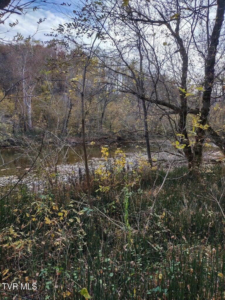 Tbd North Fork River Road, Unit 3 Abingdon, VA 24210 - Photo 16 of 34 *