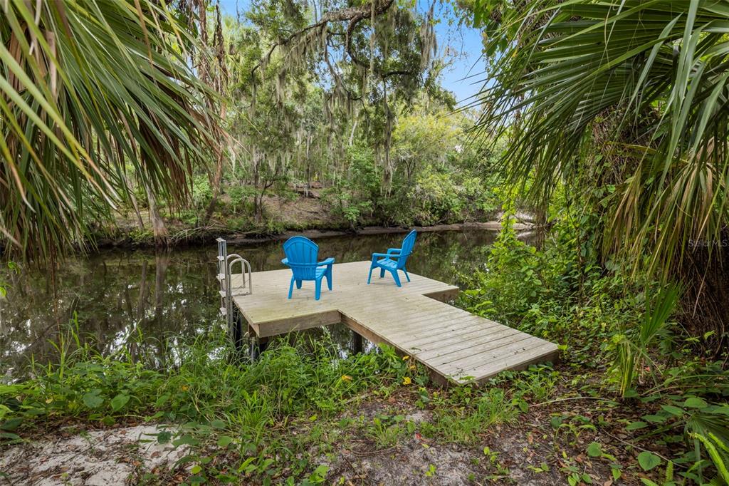 8312 Revels Road Riverview, FL 33569 - Photo 5 of 64
