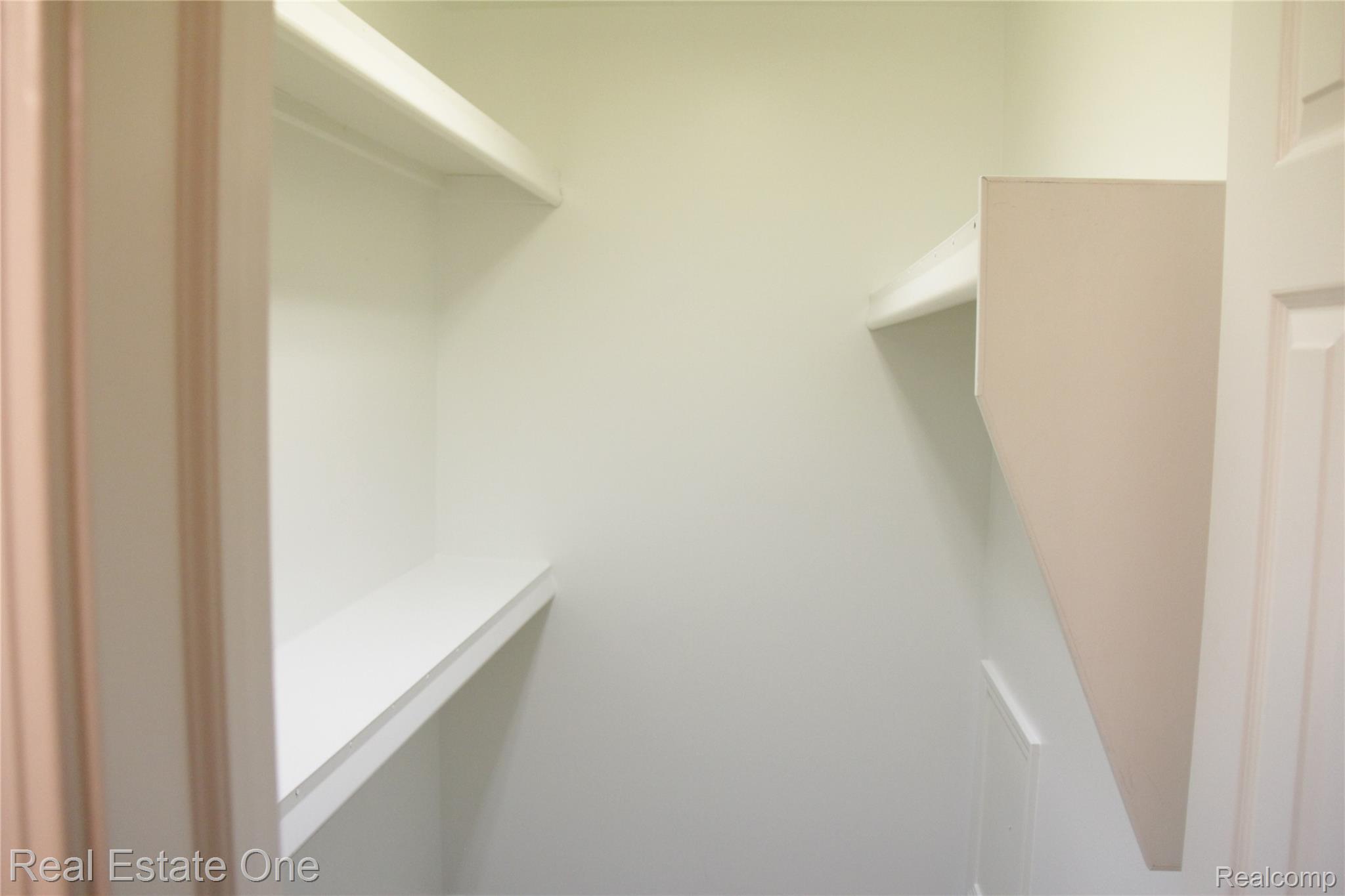44777 Saltz Road Canton, MI 48187 - Photo 43 of 65 Primary bedroom's walk-In closet