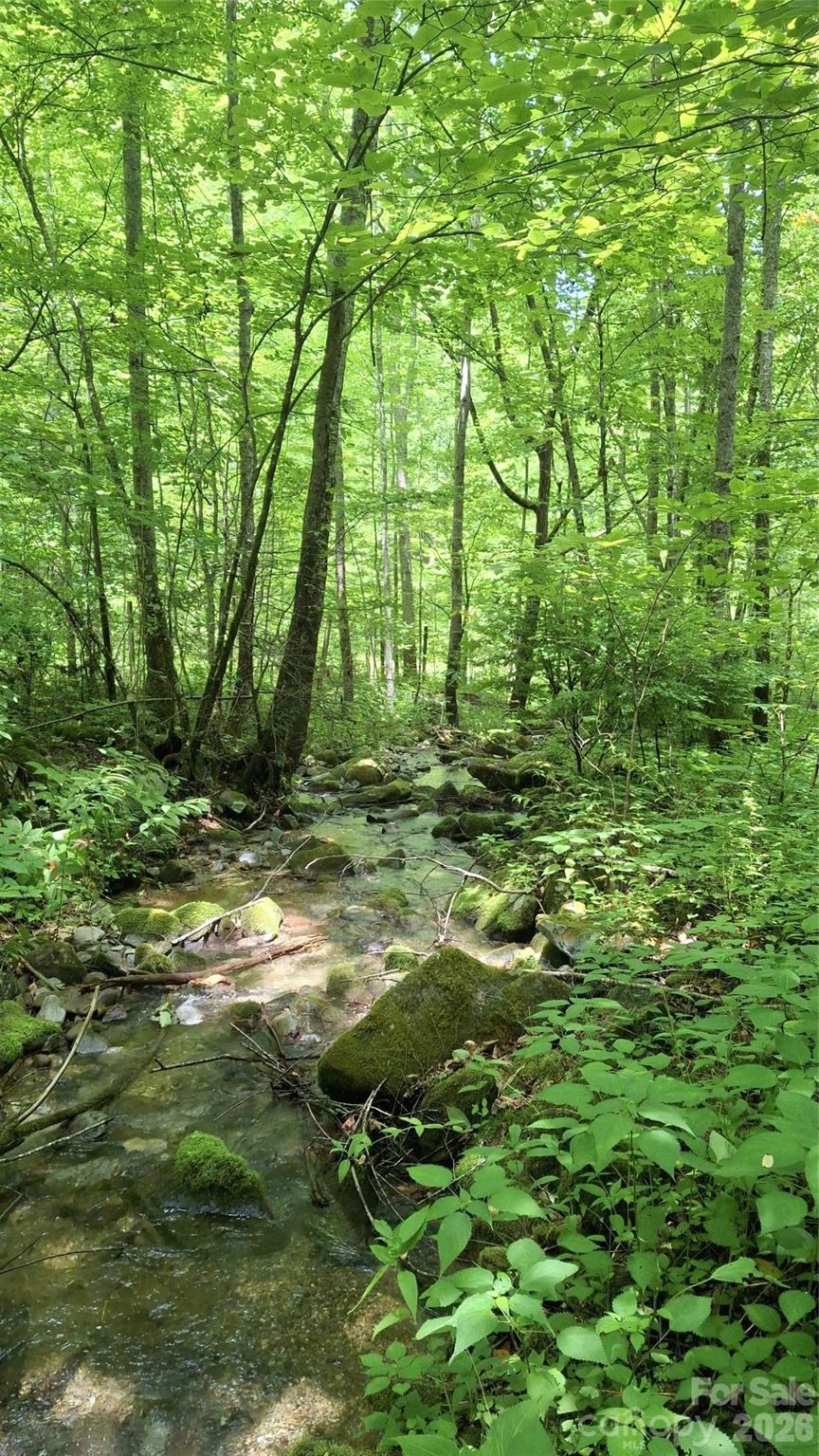 0 Dry Creek Road Robbinsville, NC 28771 - Photo 11 of 20