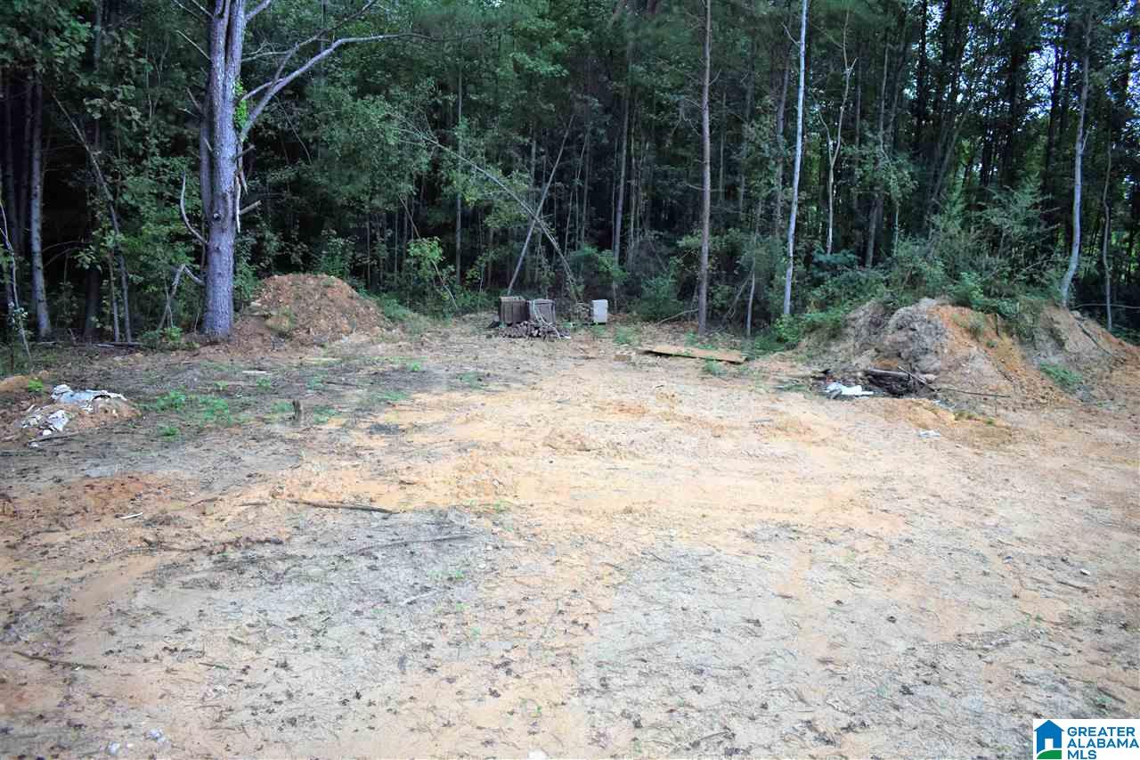 10003 Mize Road Remlap, AL 35133 - Photo 7 of 19