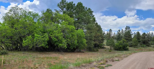 a view of a pathway both side of yard