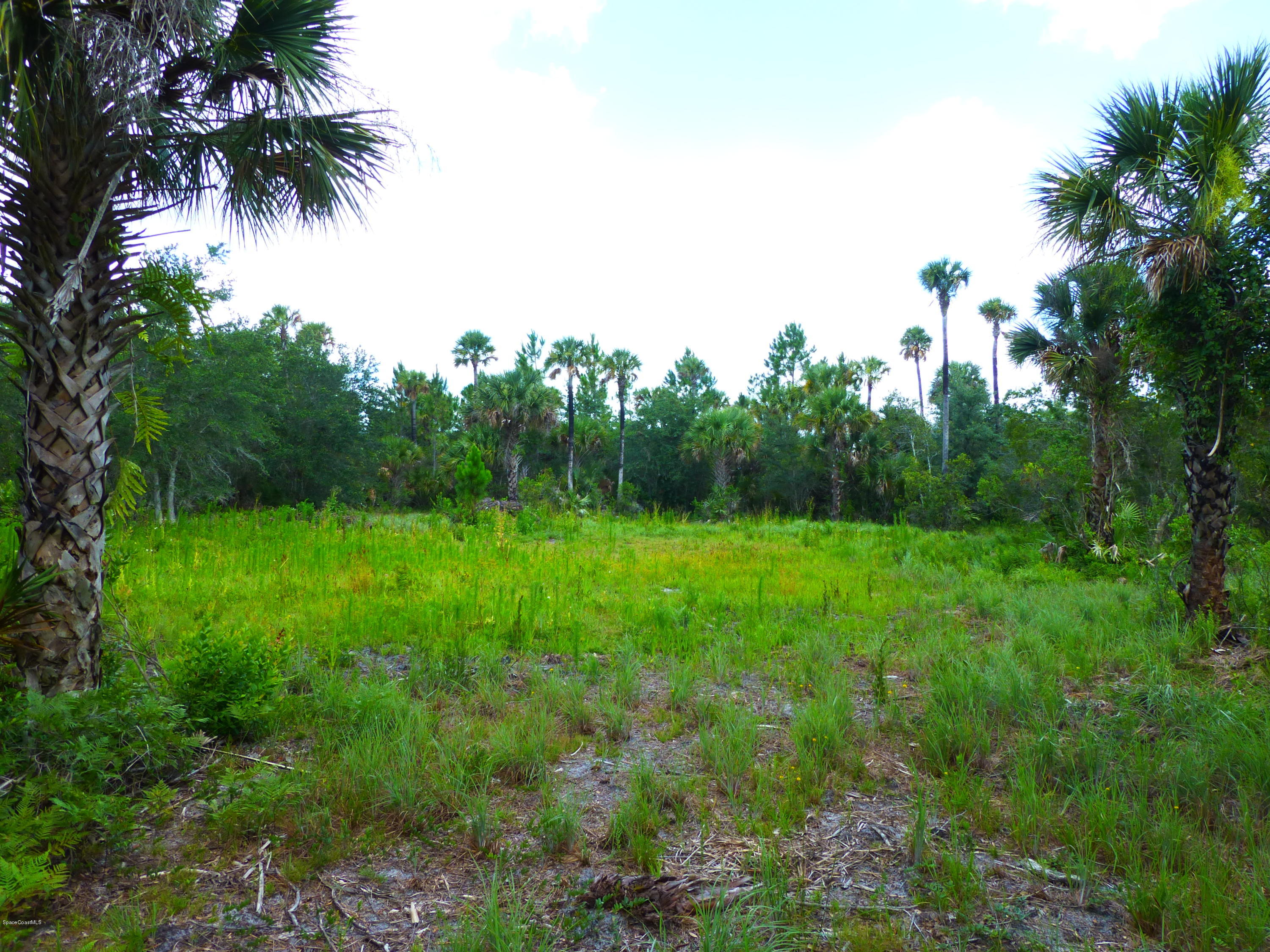 350 Liberty Road Mims, FL 32754 - Photo 1 of 59 P1010775