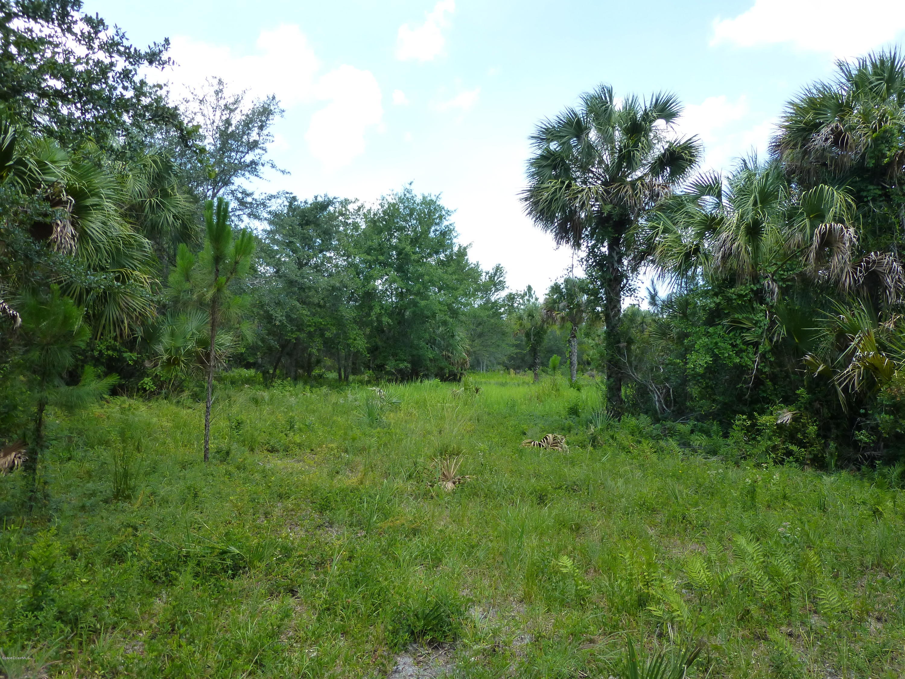350 Liberty Road Mims, FL 32754 - Photo 2 of 59 P1010820