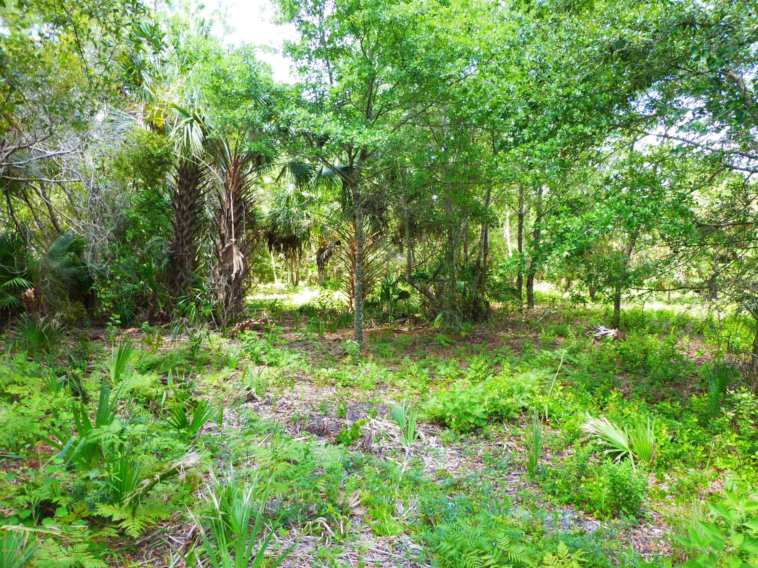350 Liberty Road Mims, FL 32754 - Photo 11 of 59 P1010773