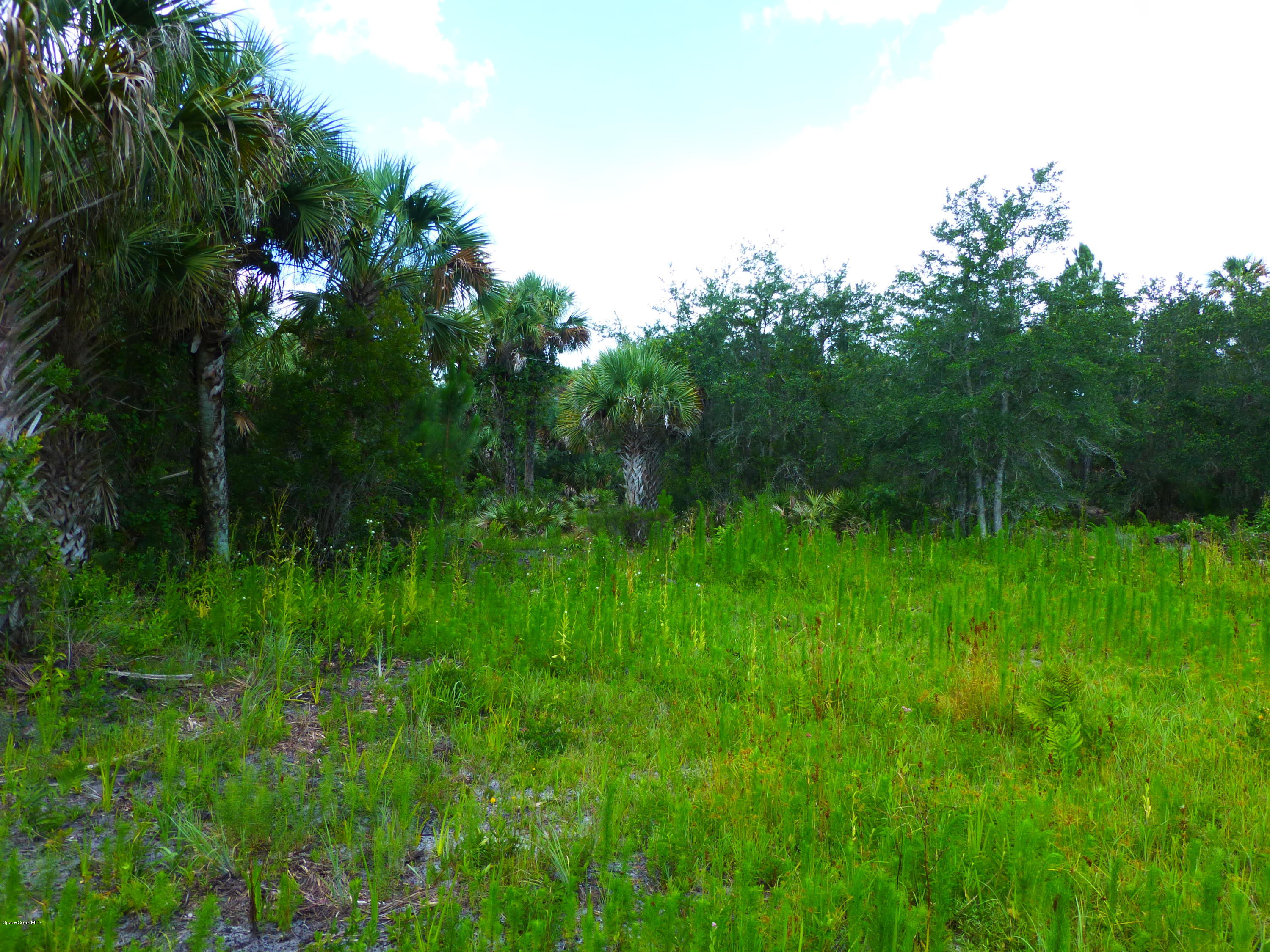 350 Liberty Road Mims, FL 32754 - Photo 13 of 59 P1010776