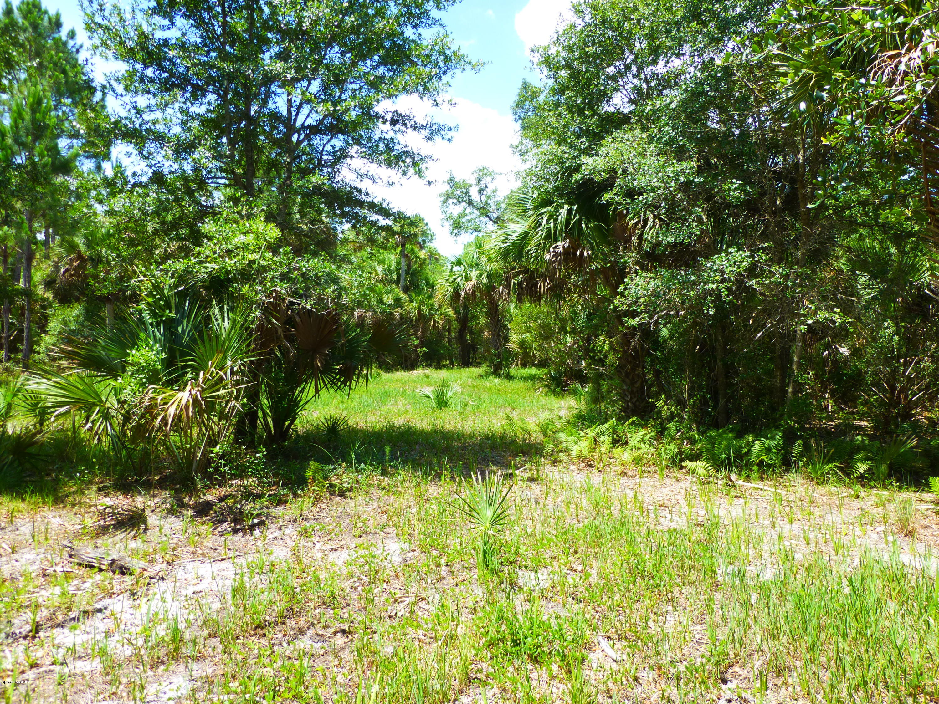 350 Liberty Road Mims, FL 32754 - Photo 14 of 59 P1010783