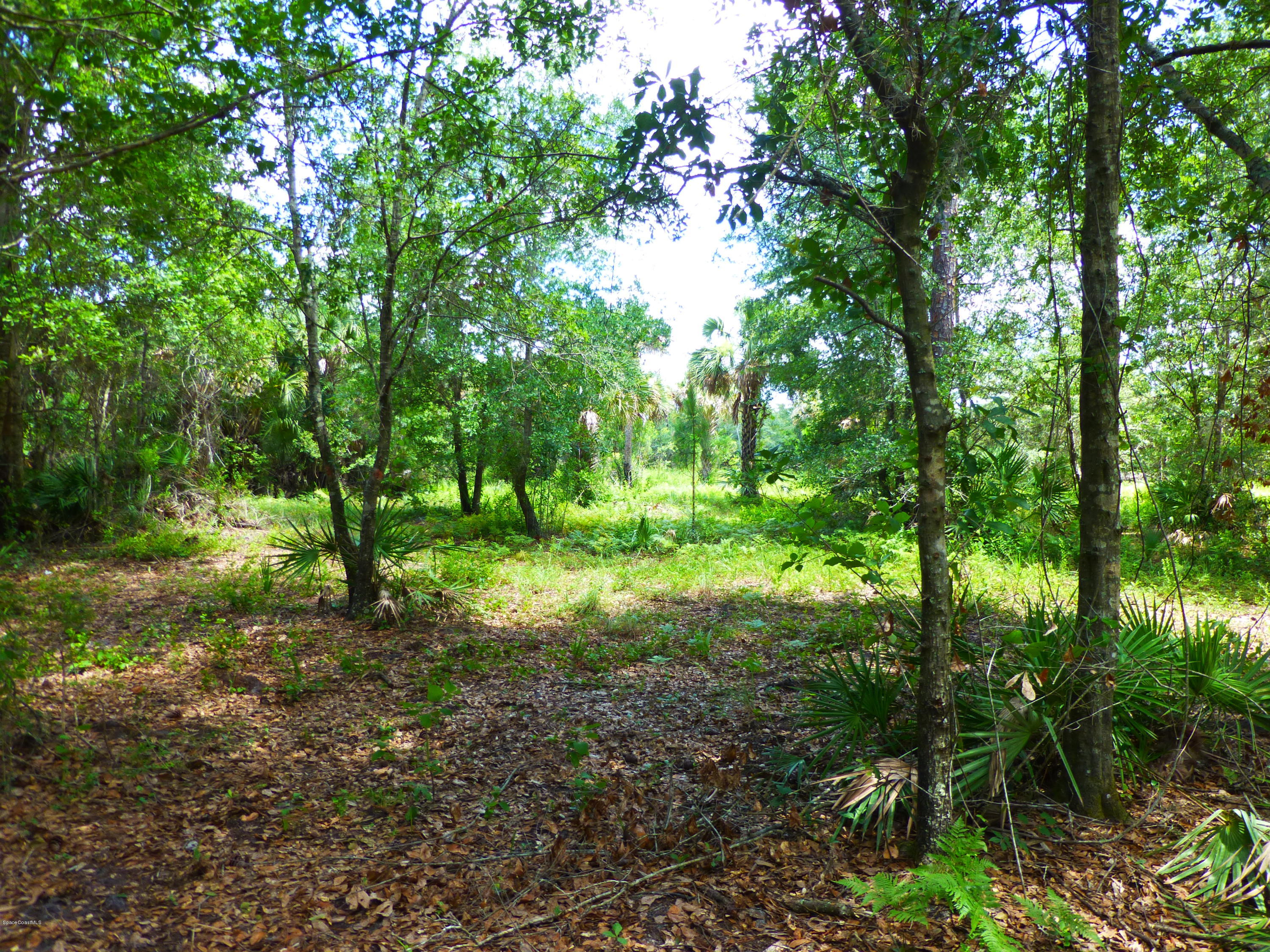 350 Liberty Road Mims, FL 32754 - Photo 19 of 59 P1010789