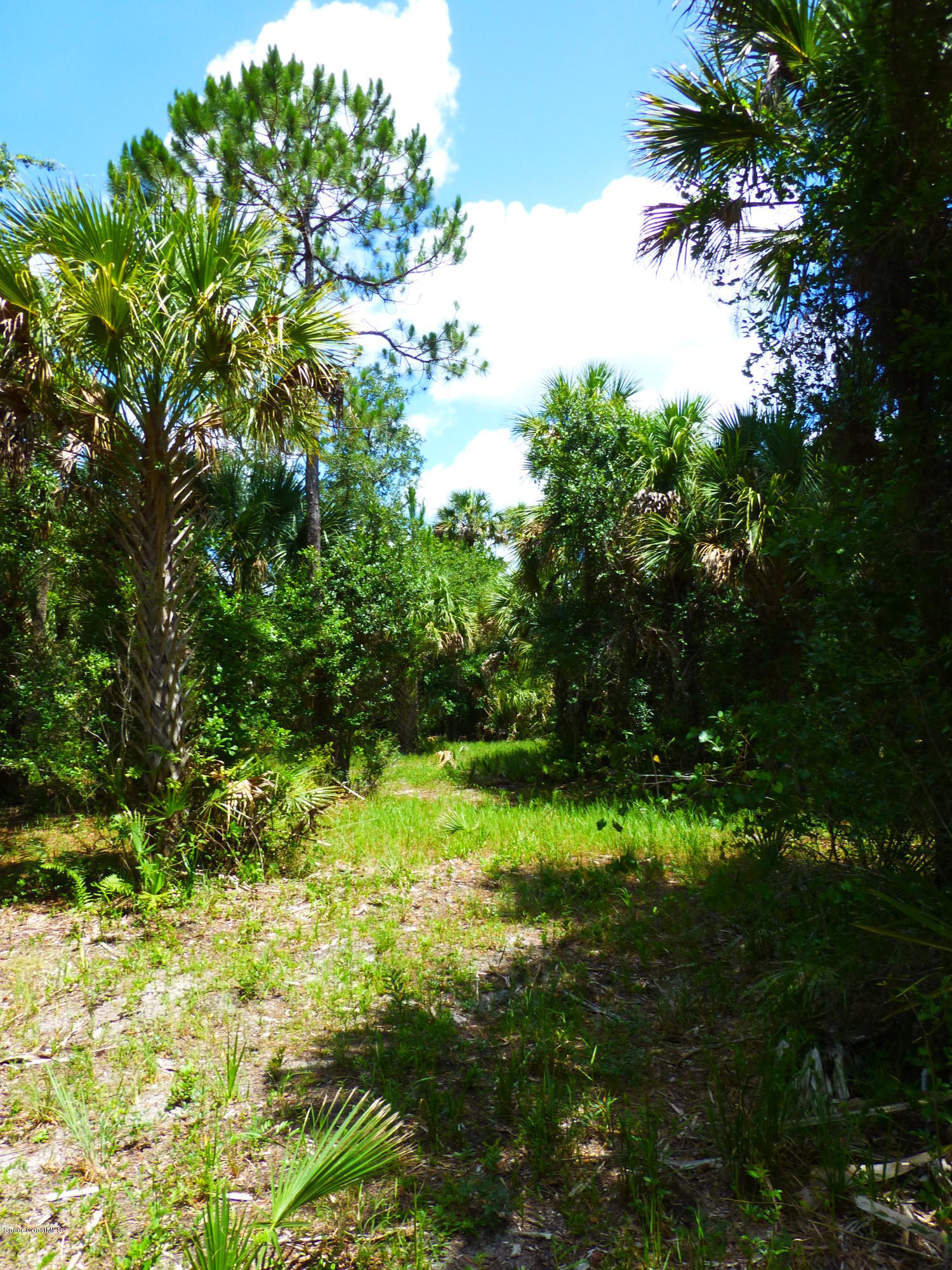350 Liberty Road Mims, FL 32754 - Photo 24 of 59 P1010793
