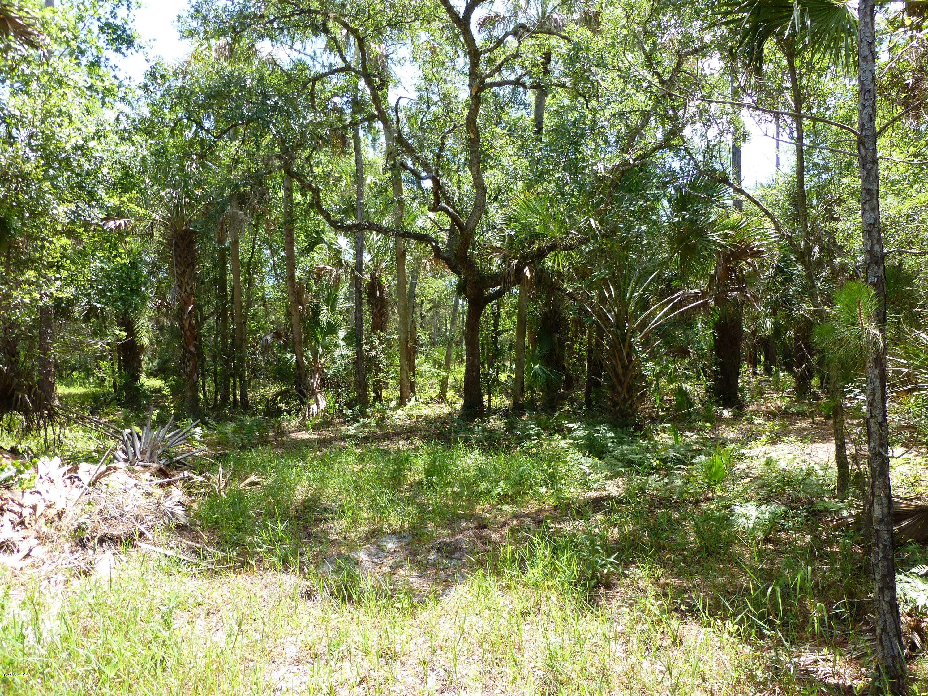 350 Liberty Road Mims, FL 32754 - Photo 25 of 59 P1010796