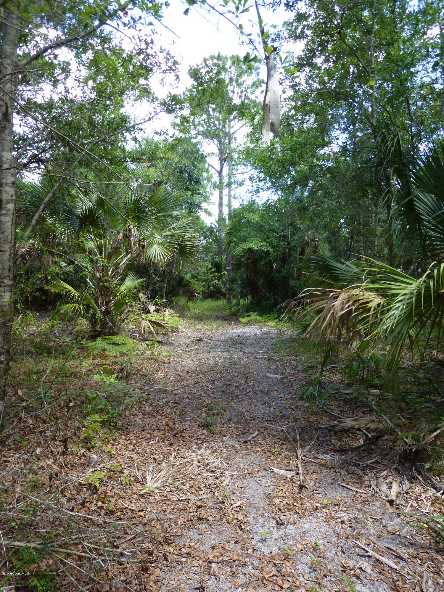 350 Liberty Road Mims, FL 32754 - Photo 26 of 59 P1010798
