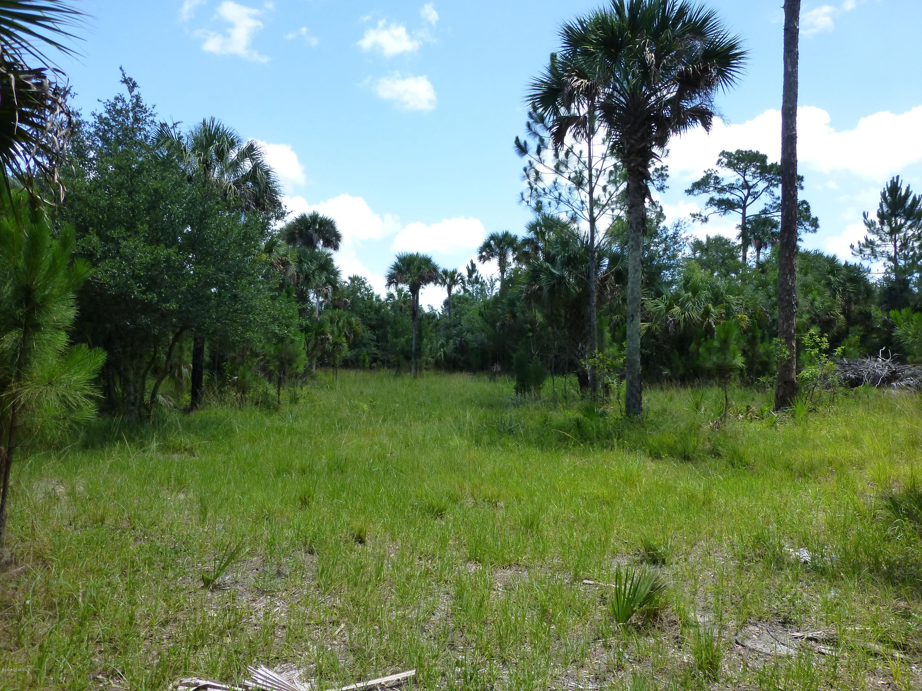 350 Liberty Road Mims, FL 32754 - Photo 27 of 59 P1010800