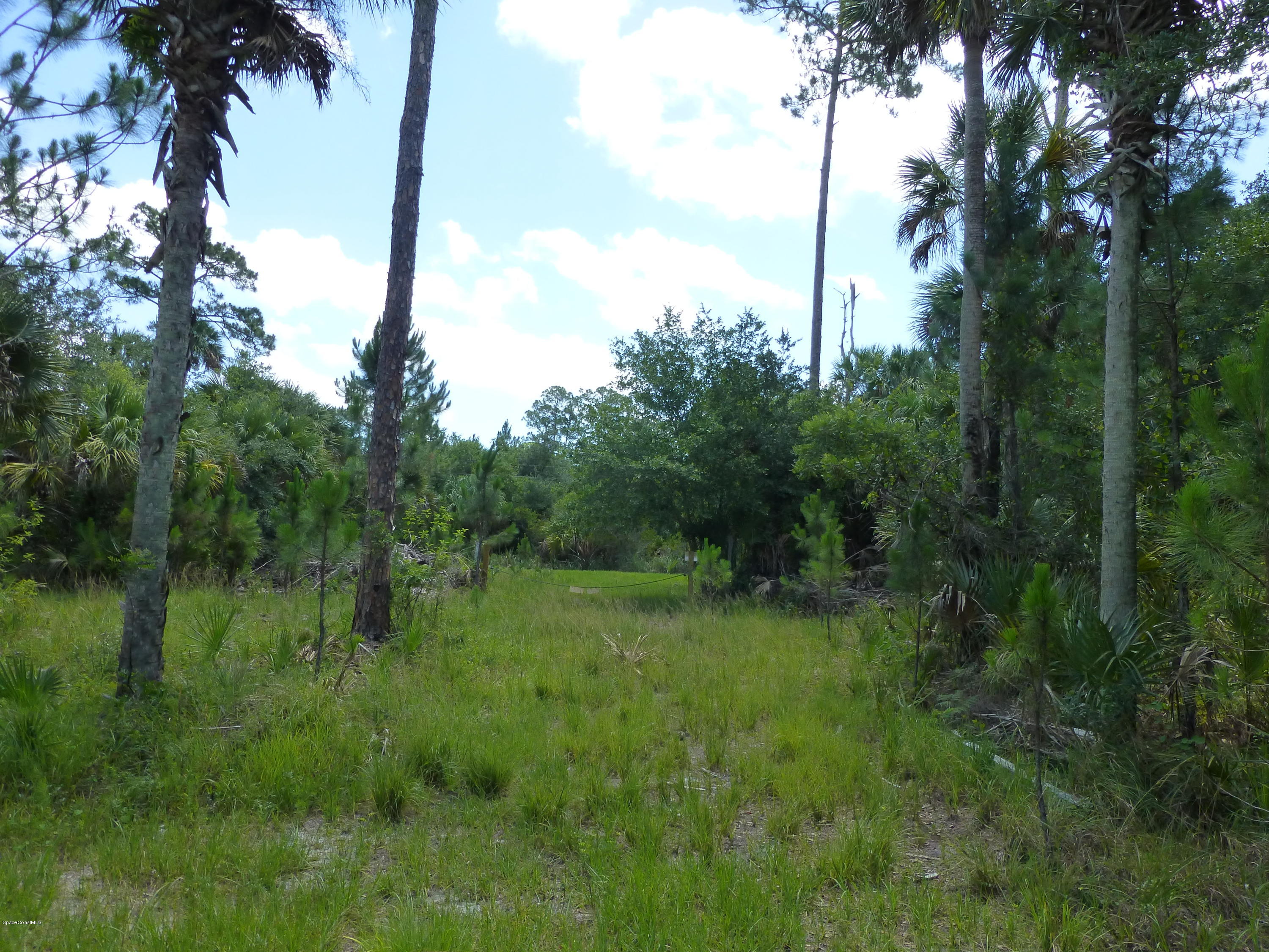 350 Liberty Road Mims, FL 32754 - Photo 28 of 59 P1010801