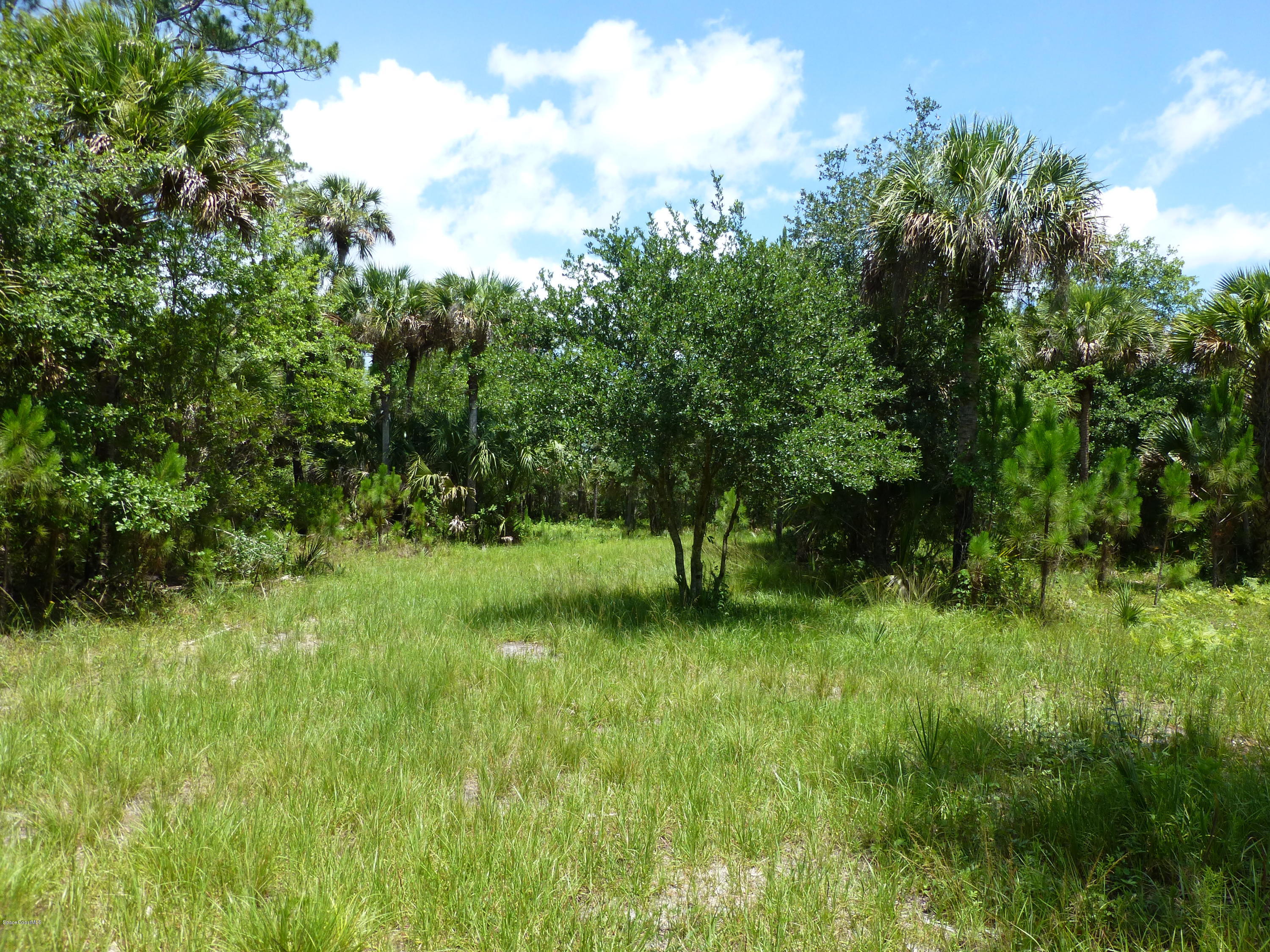 350 Liberty Road Mims, FL 32754 - Photo 30 of 59 P1010807
