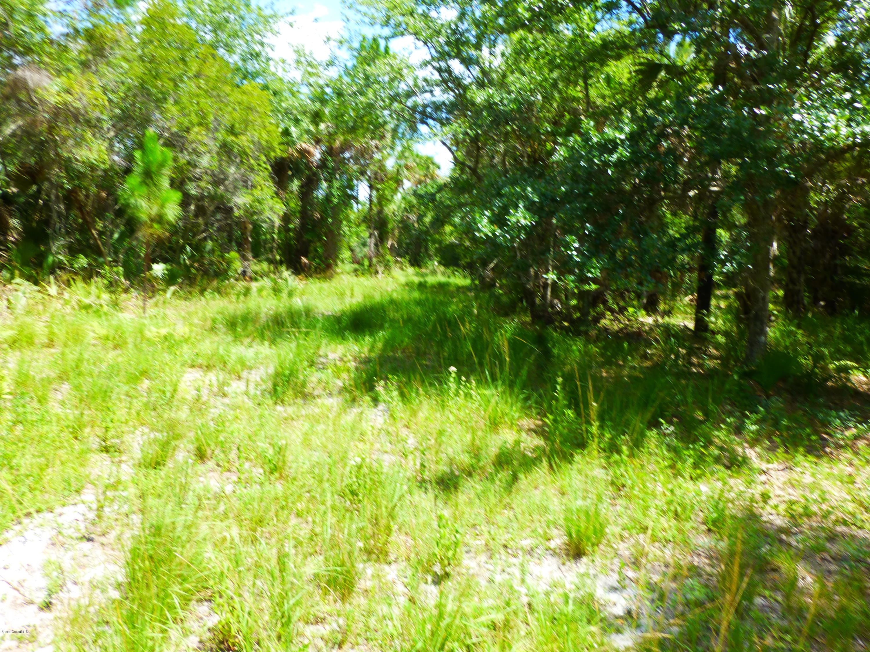350 Liberty Road Mims, FL 32754 - Photo 4 of 59 P1010766