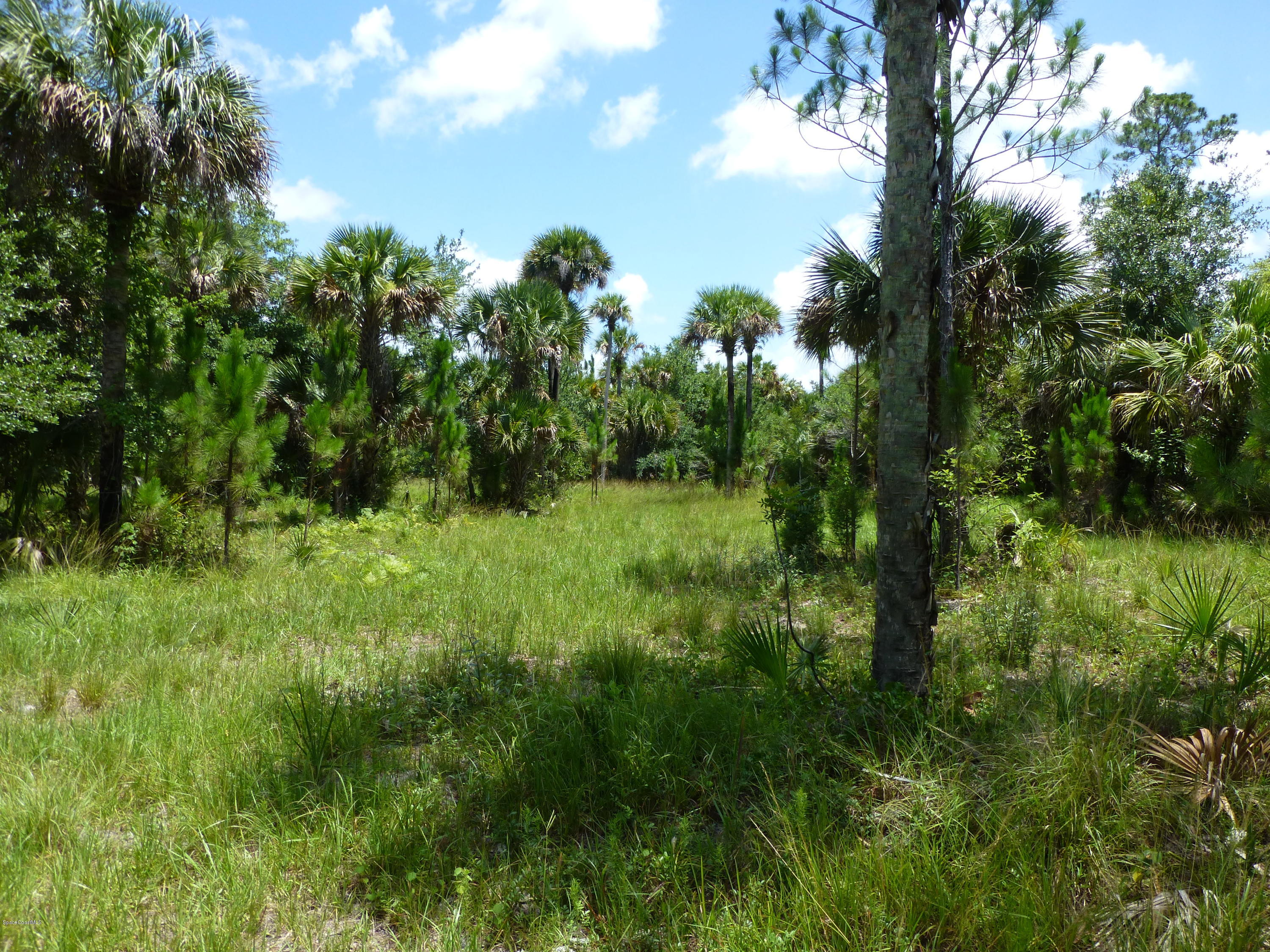 350 Liberty Road Mims, FL 32754 - Photo 31 of 59 P1010808