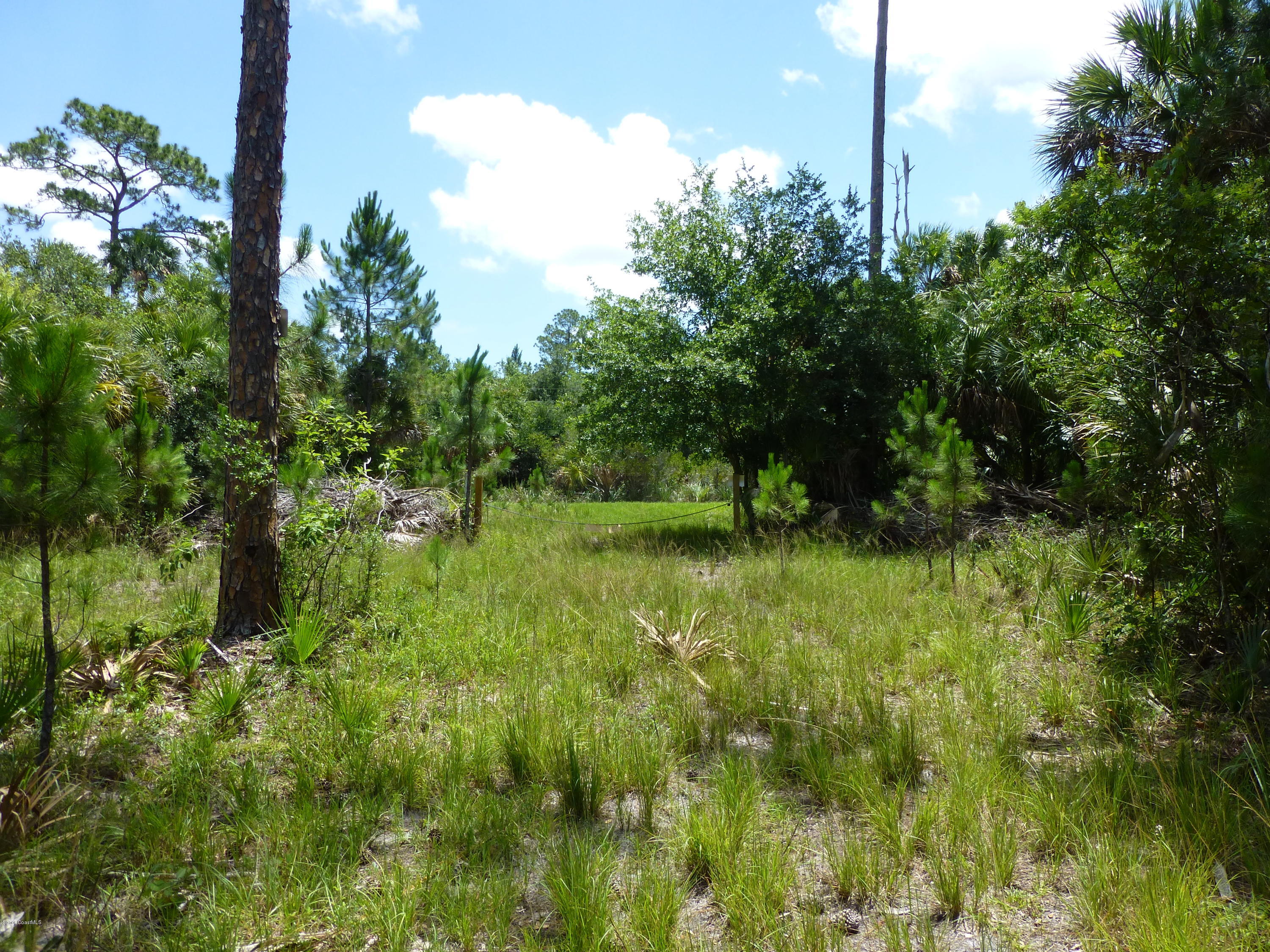 350 Liberty Road Mims, FL 32754 - Photo 32 of 59 P1010809