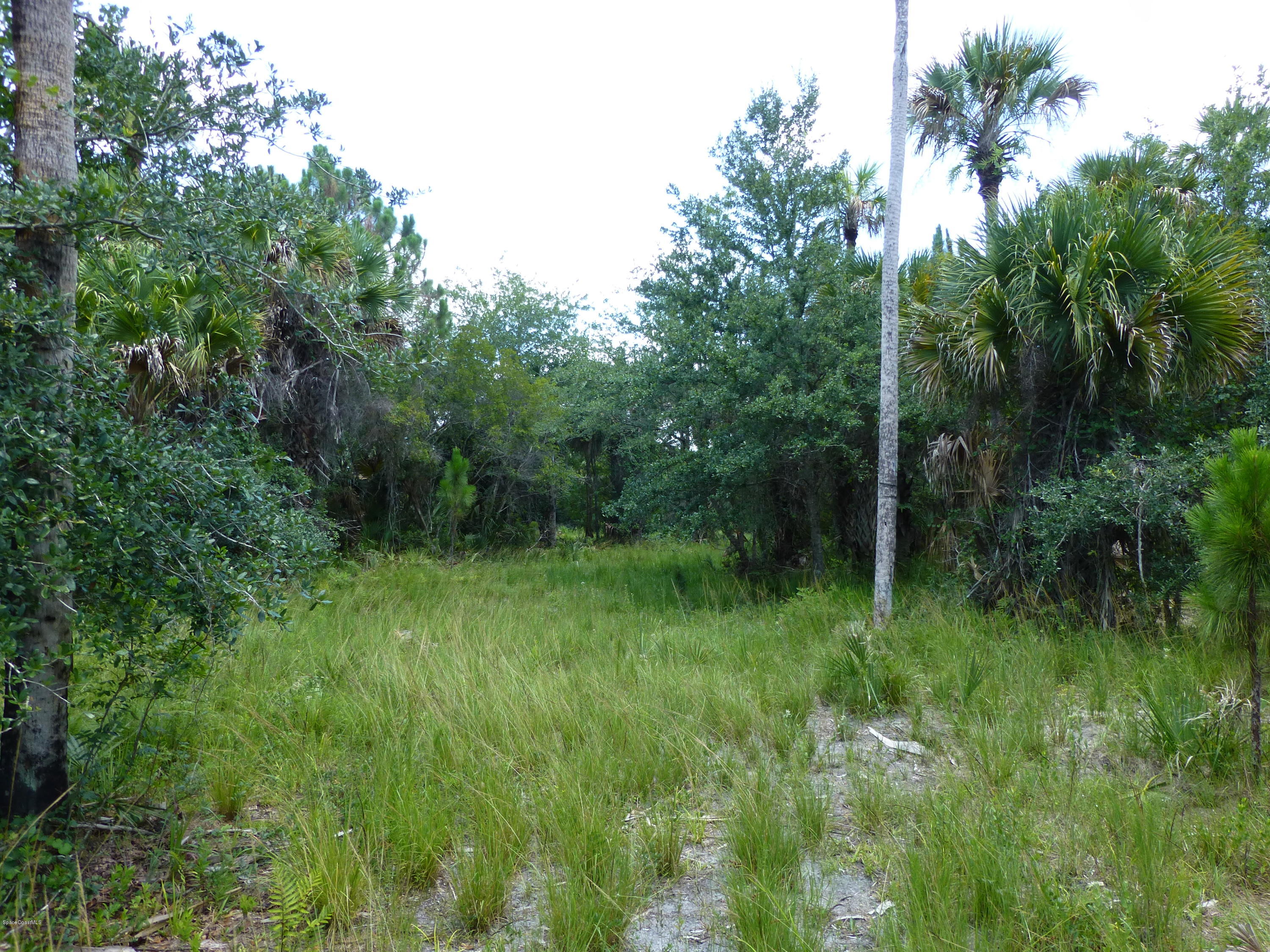 350 Liberty Road Mims, FL 32754 - Photo 34 of 59 P1010812