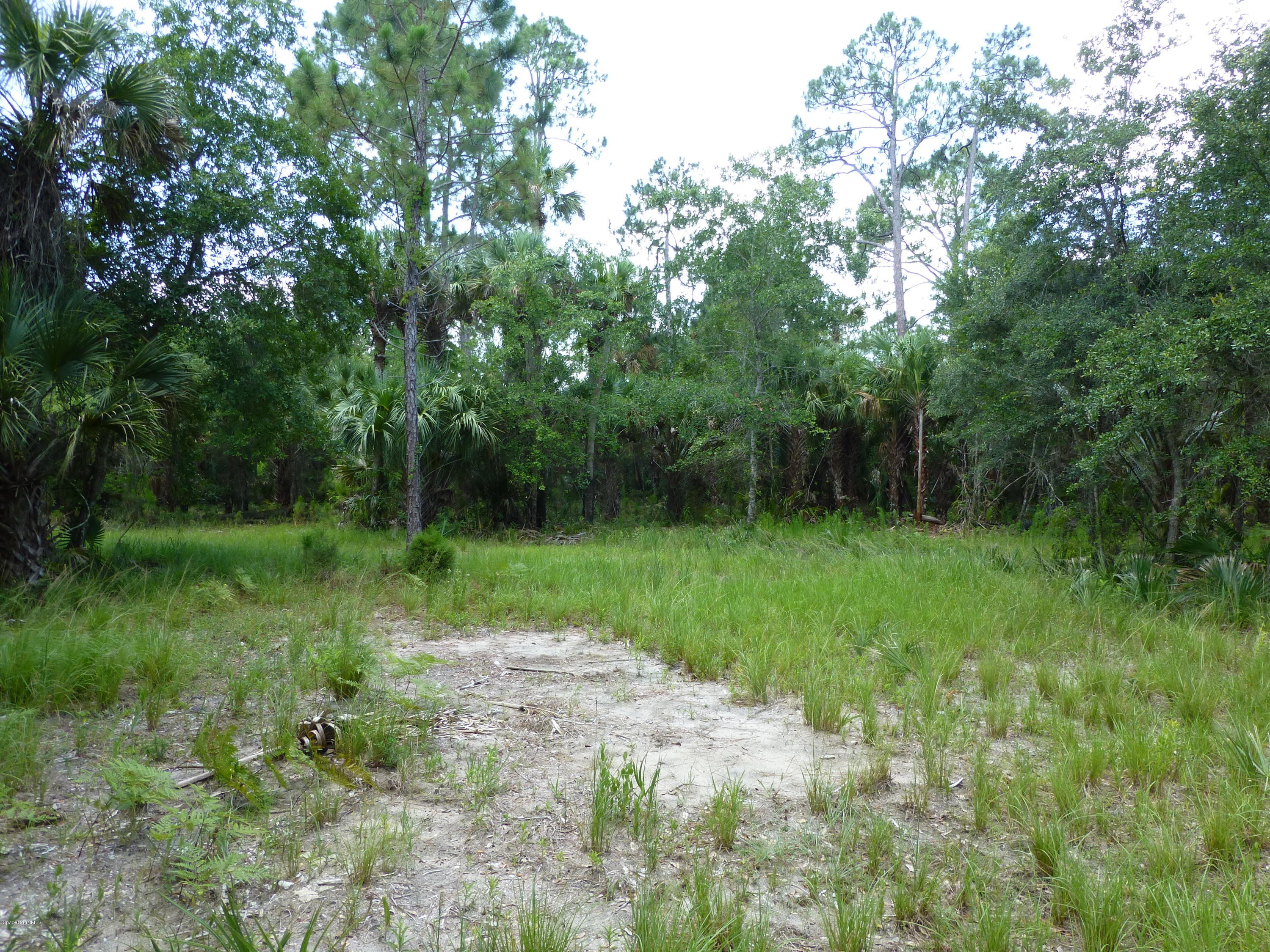 350 Liberty Road Mims, FL 32754 - Photo 38 of 59 P1010817
