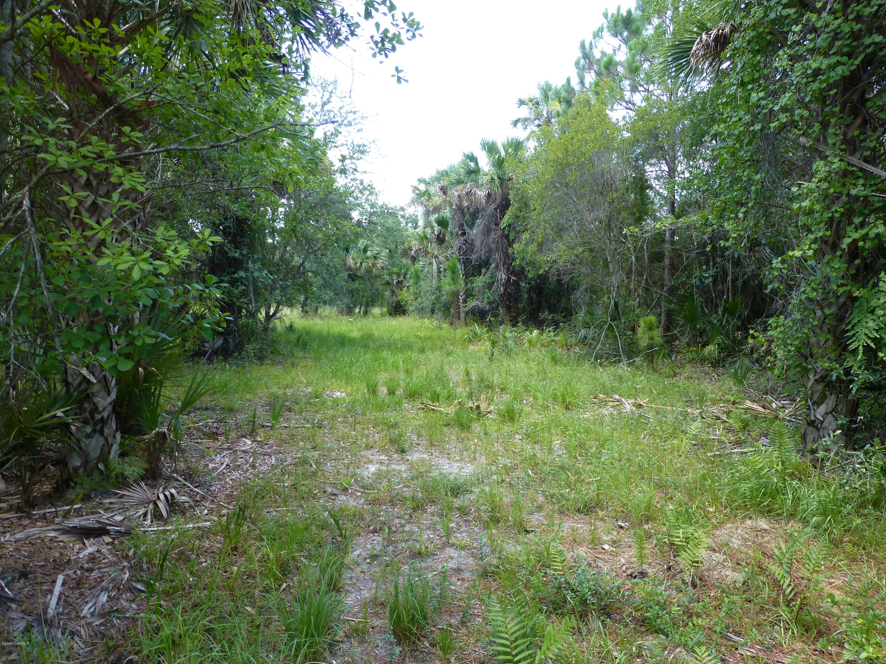 350 Liberty Road Mims, FL 32754 - Photo 39 of 59 P1010818