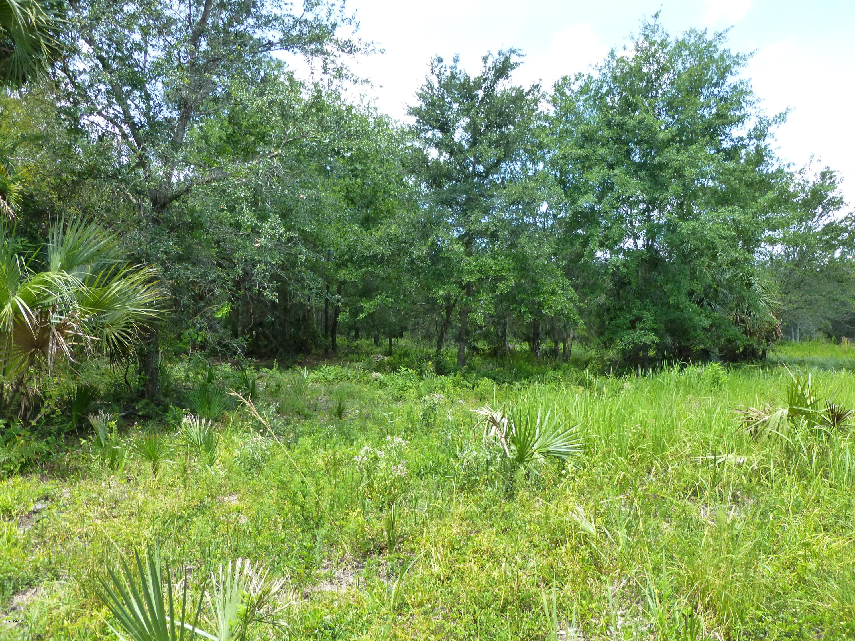 350 Liberty Road Mims, FL 32754 - Photo 40 of 59 P1010821