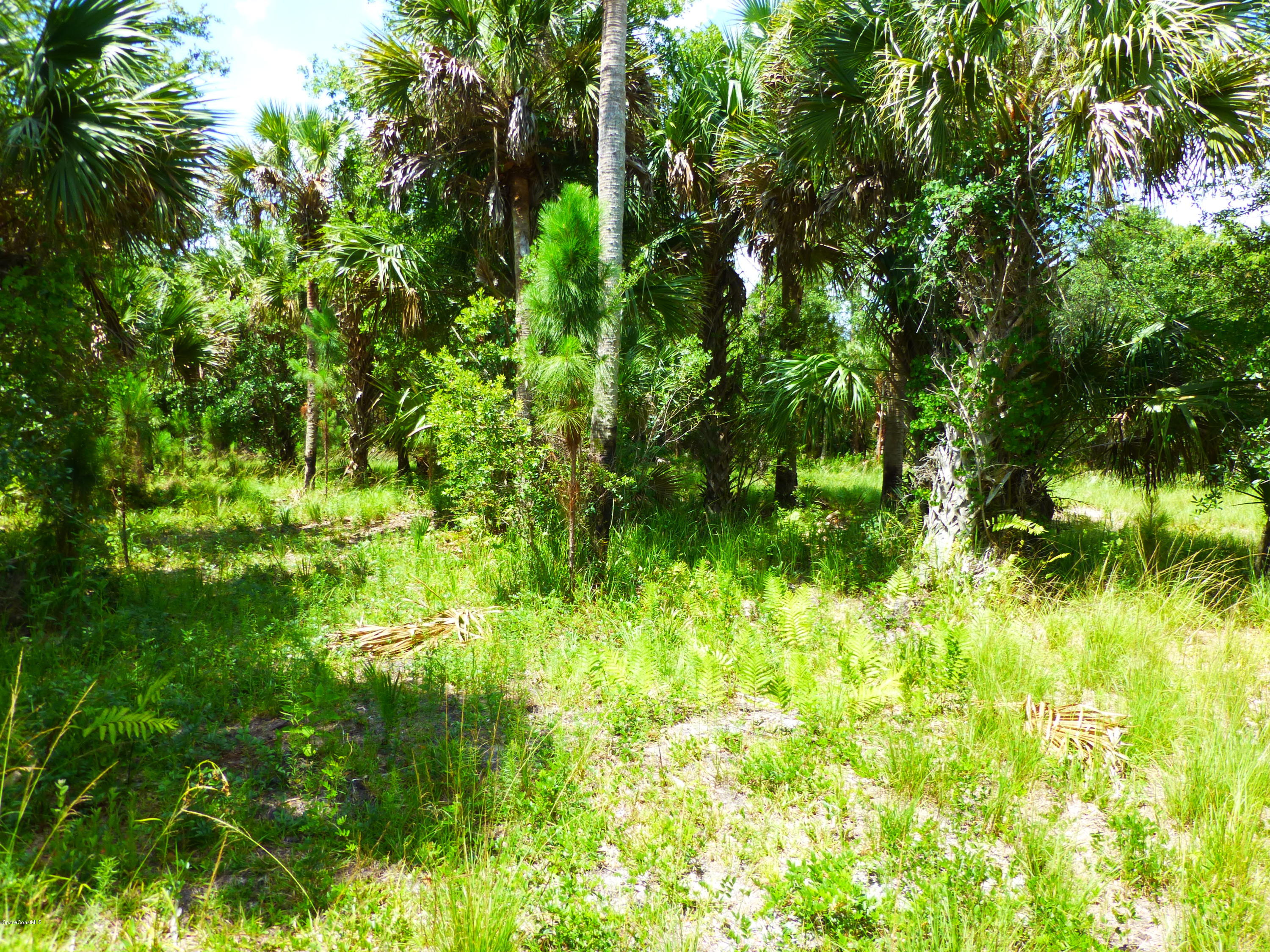 350 Liberty Road Mims, FL 32754 - Photo 5 of 59 P1010767