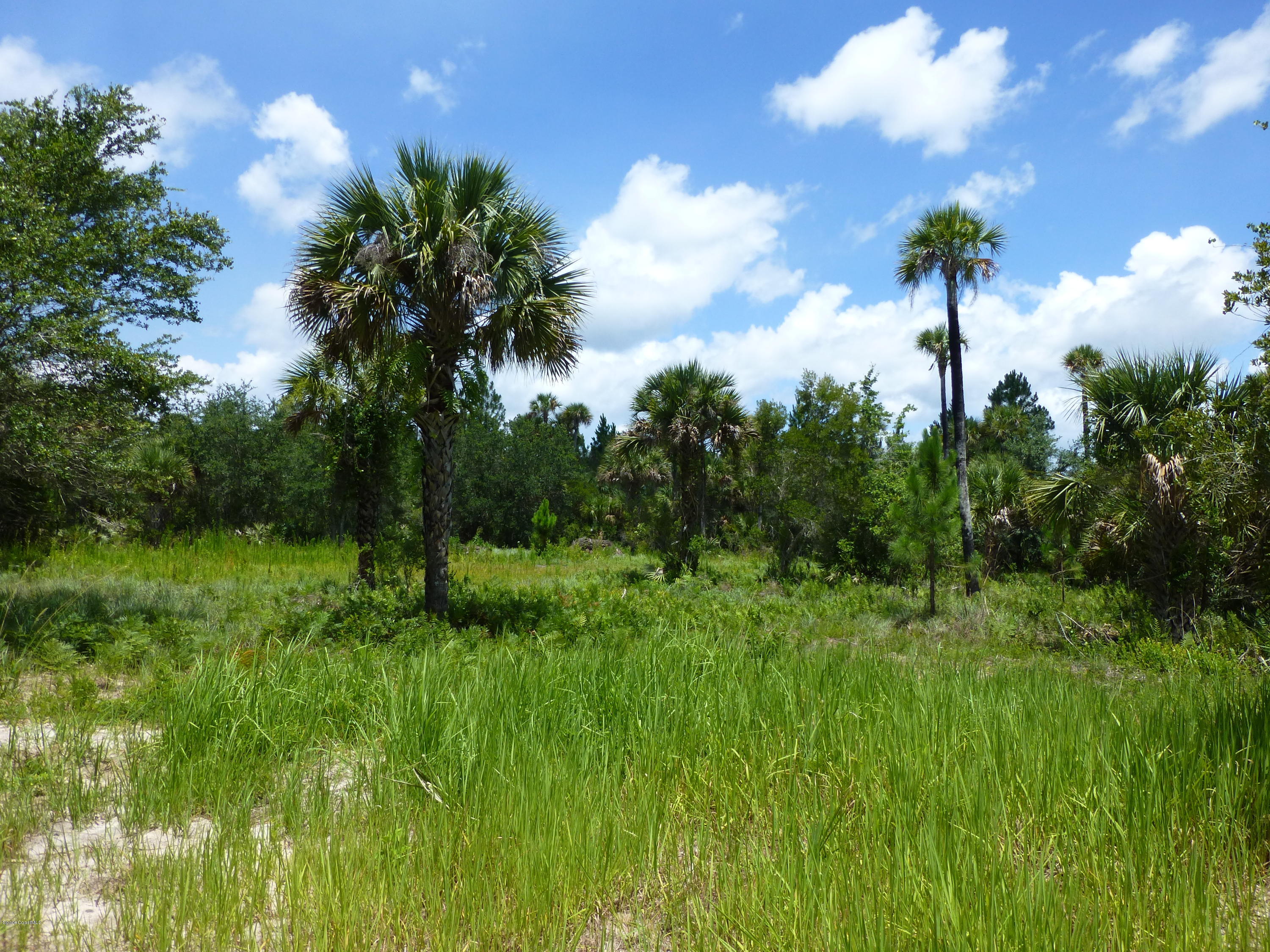 350 Liberty Road Mims, FL 32754 - Photo 41 of 59 P1010822