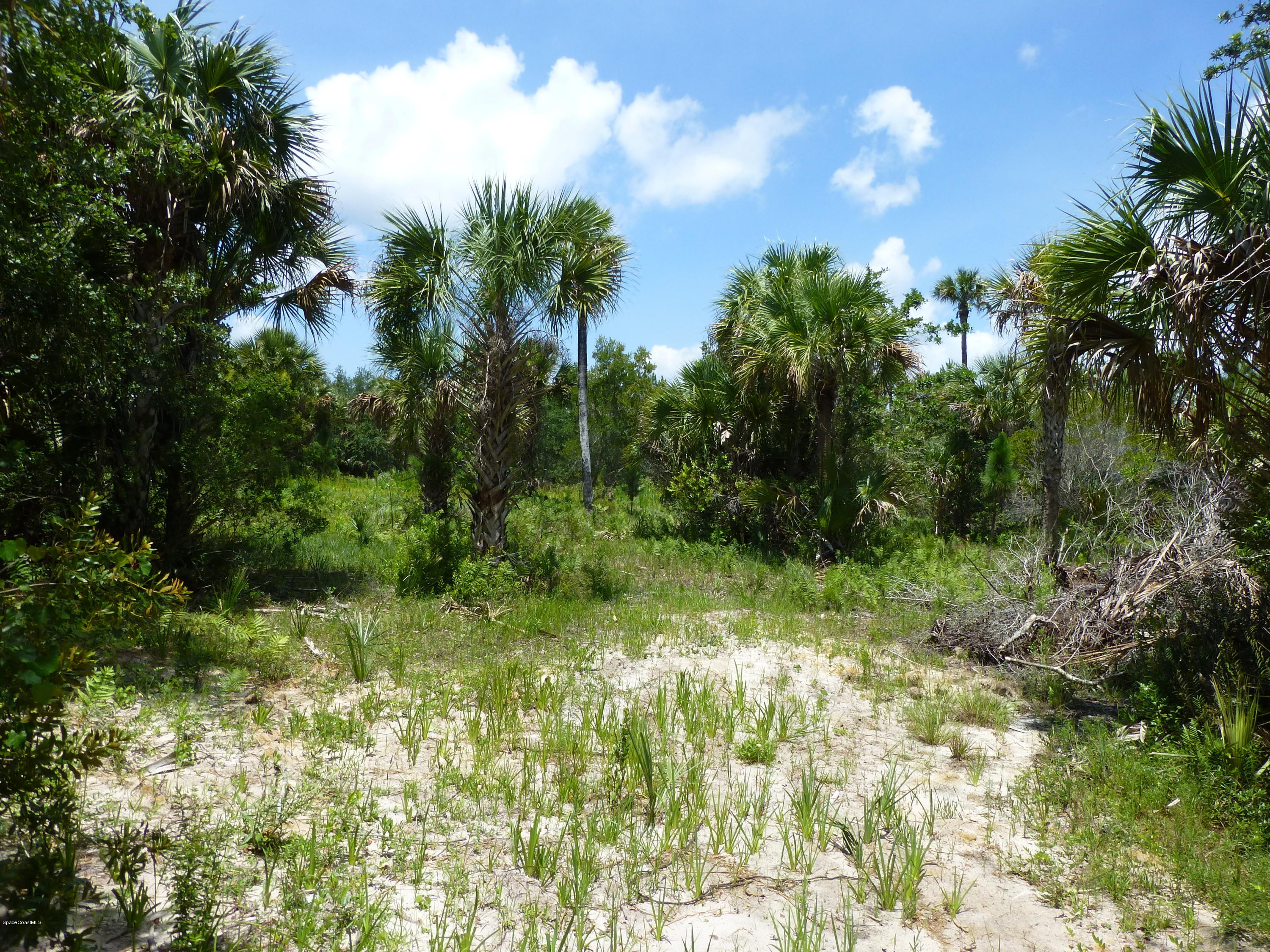 350 Liberty Road Mims, FL 32754 - Photo 42 of 59 P1010823