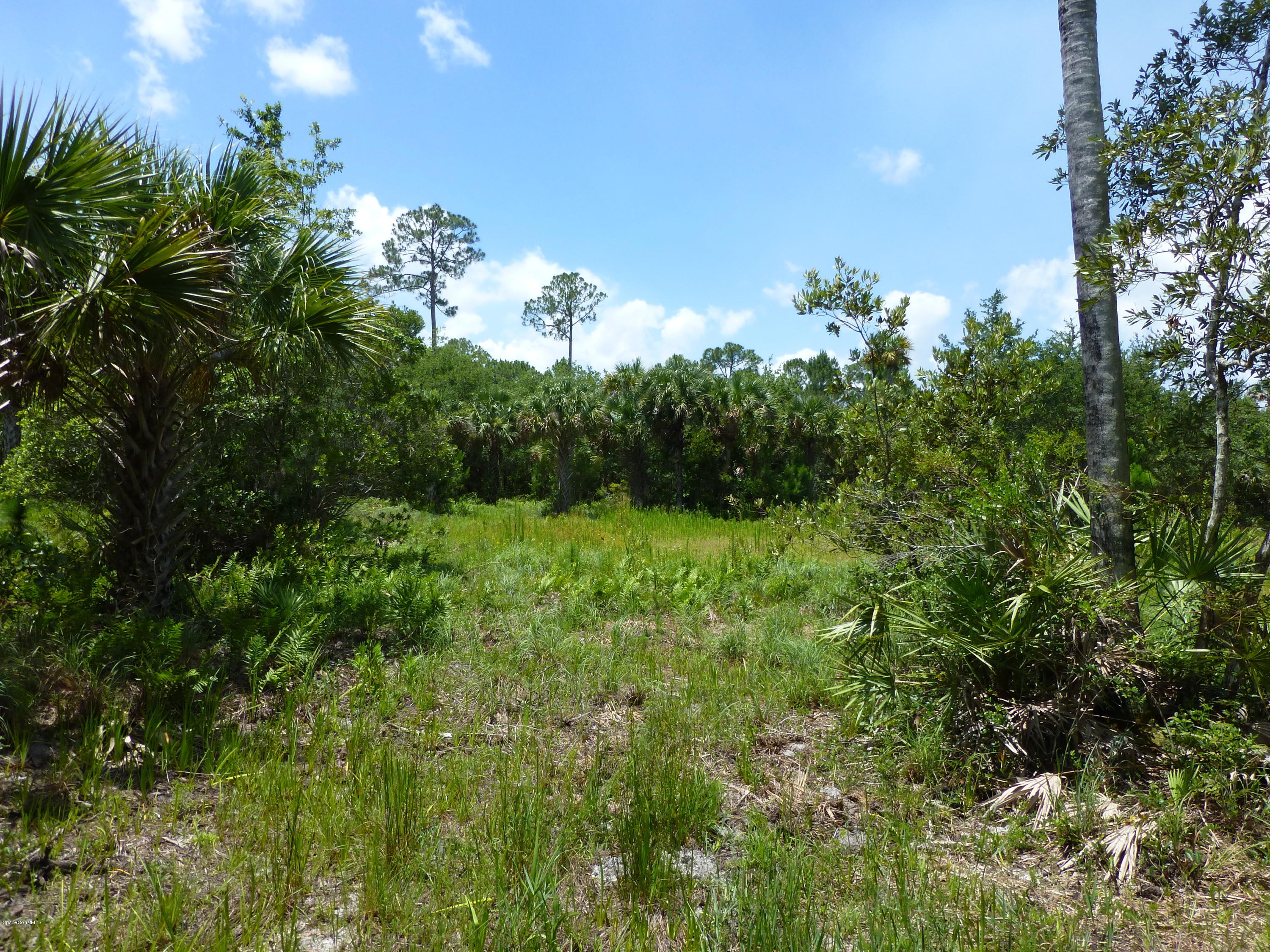 350 Liberty Road Mims, FL 32754 - Photo 43 of 59 P1010824