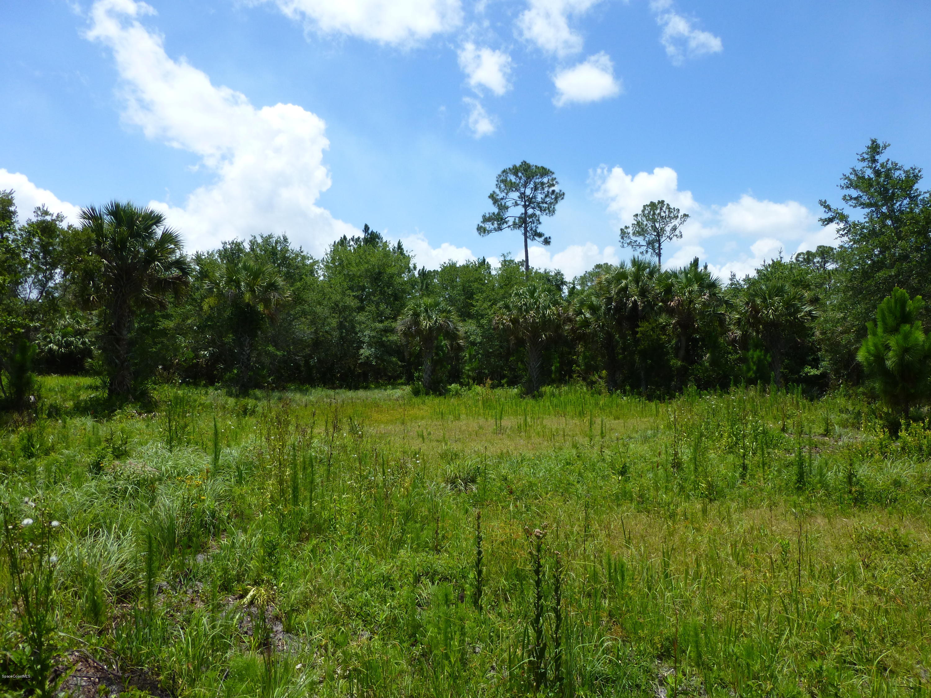 350 Liberty Road Mims, FL 32754 - Photo 44 of 59 P1010825