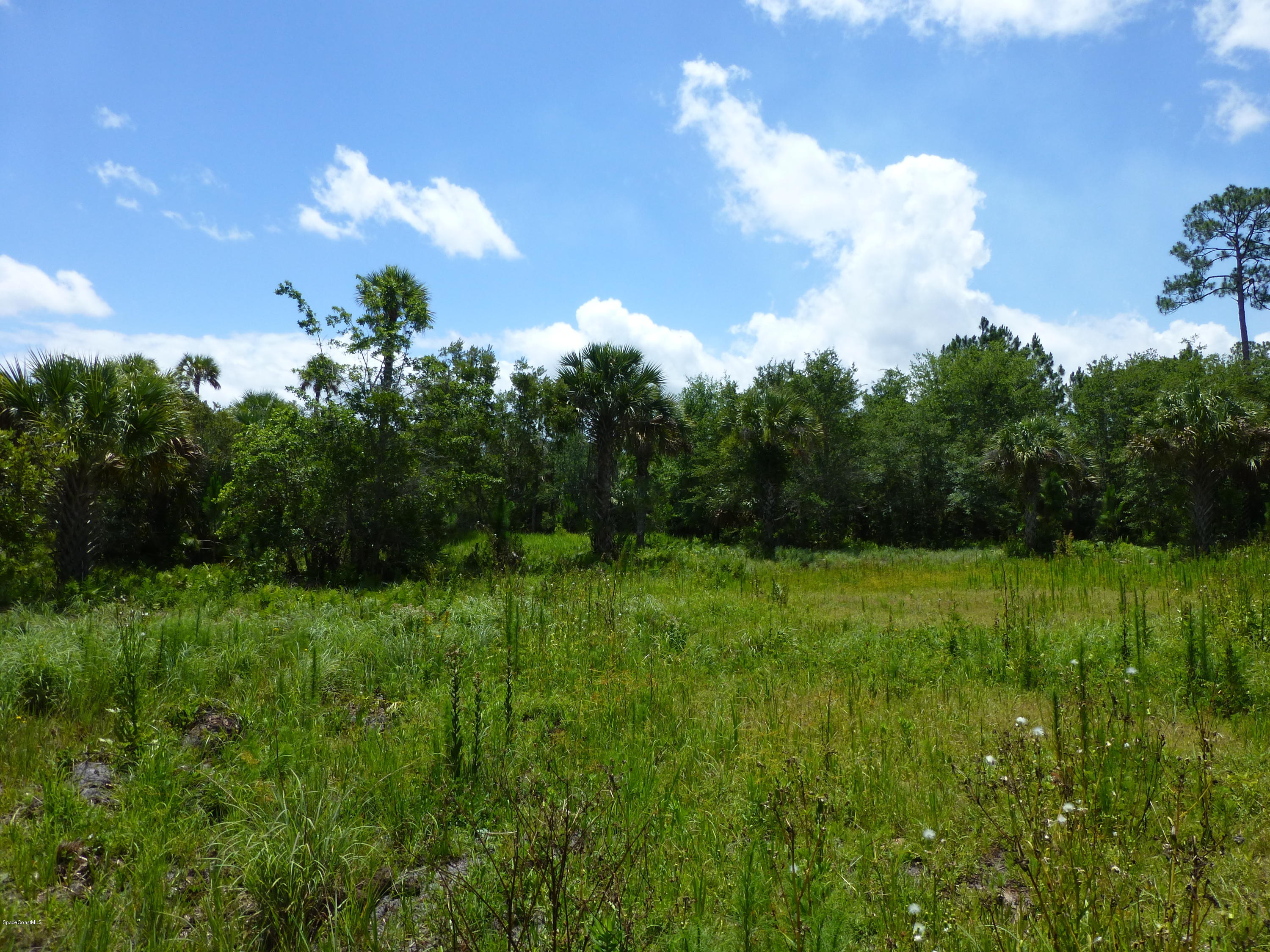 350 Liberty Road Mims, FL 32754 - Photo 45 of 59 P1010826
