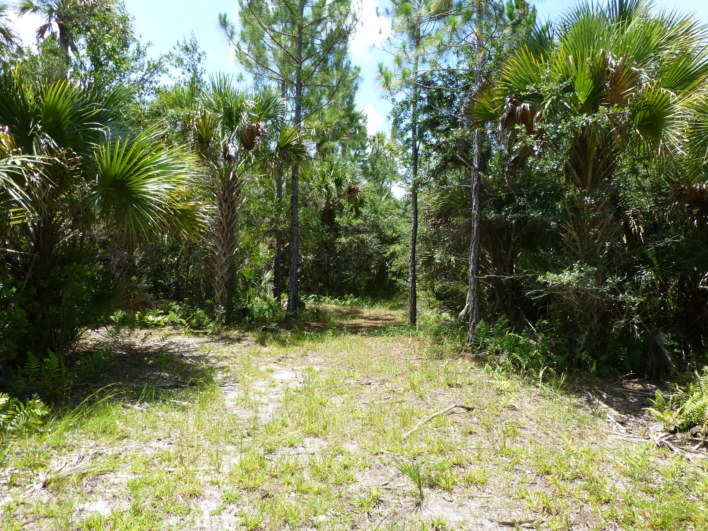 350 Liberty Road Mims, FL 32754 - Photo 46 of 59 P1010827