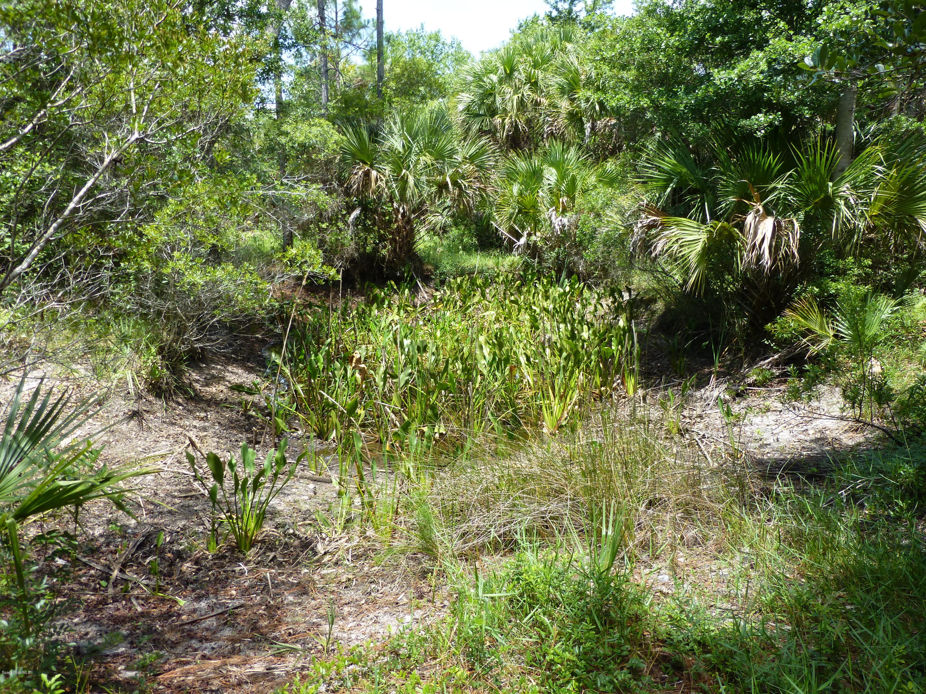 350 Liberty Road Mims, FL 32754 - Photo 47 of 59 P1010831
