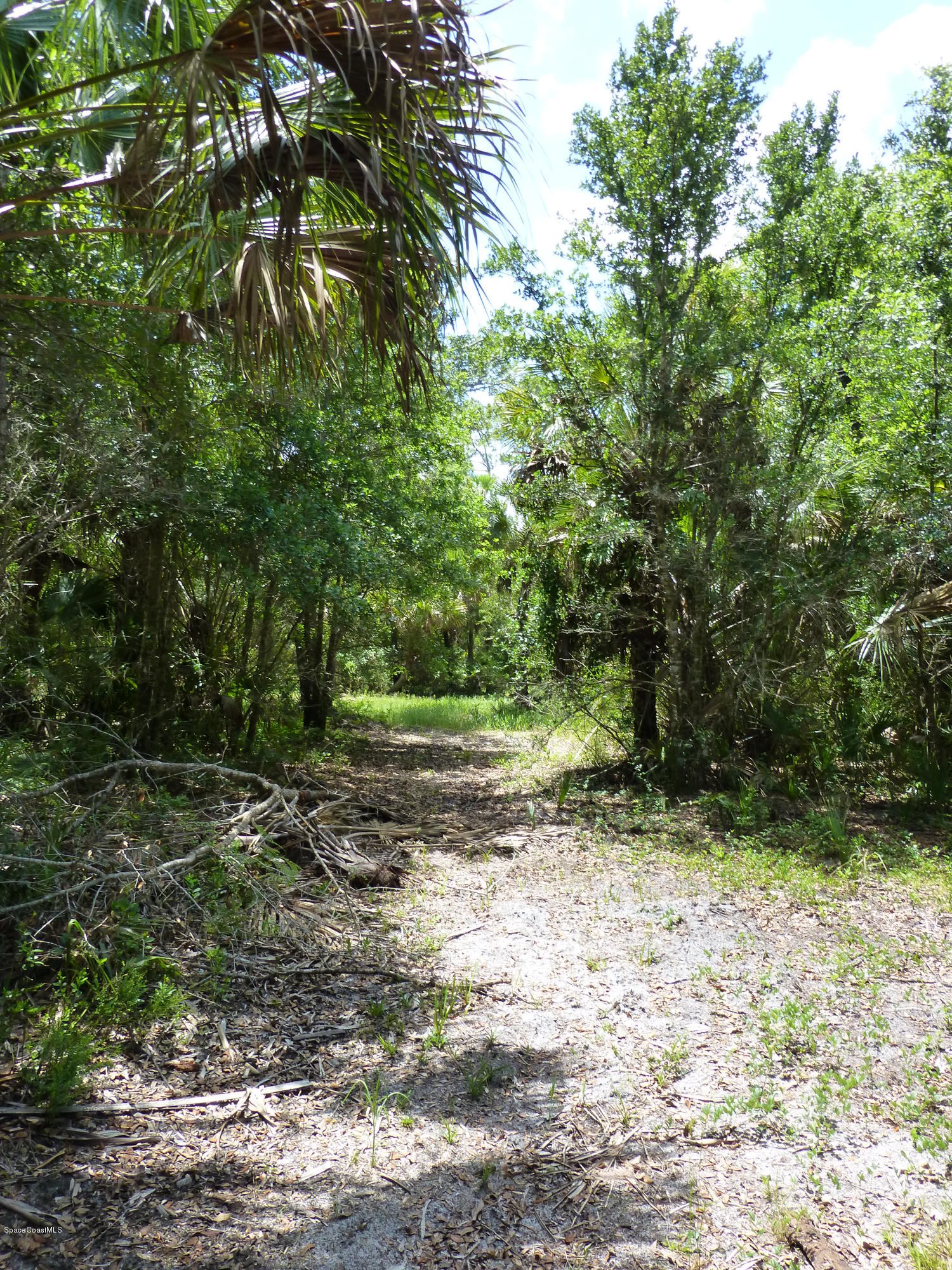 350 Liberty Road Mims, FL 32754 - Photo 48 of 59 P1010832