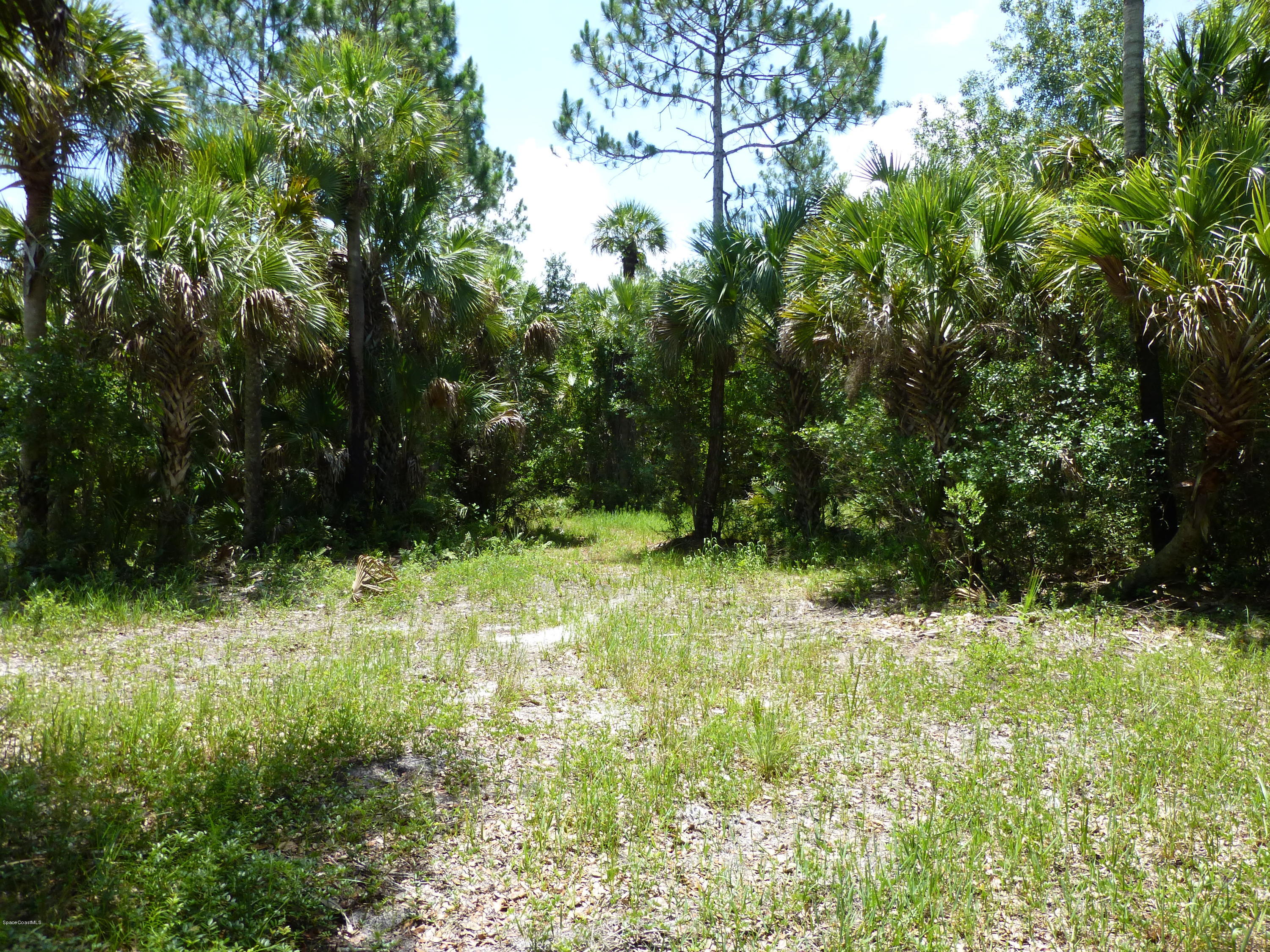350 Liberty Road Mims, FL 32754 - Photo 49 of 59 P1010834